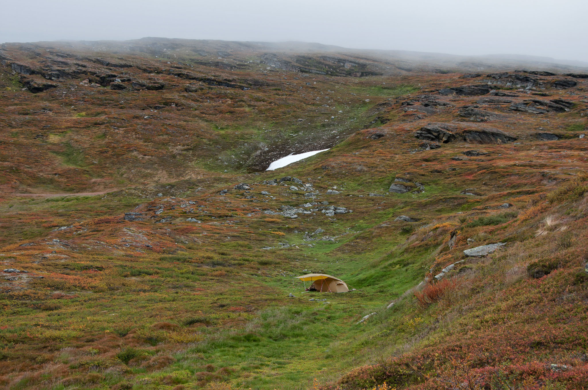 Abisko2017_DSC0490.jpg