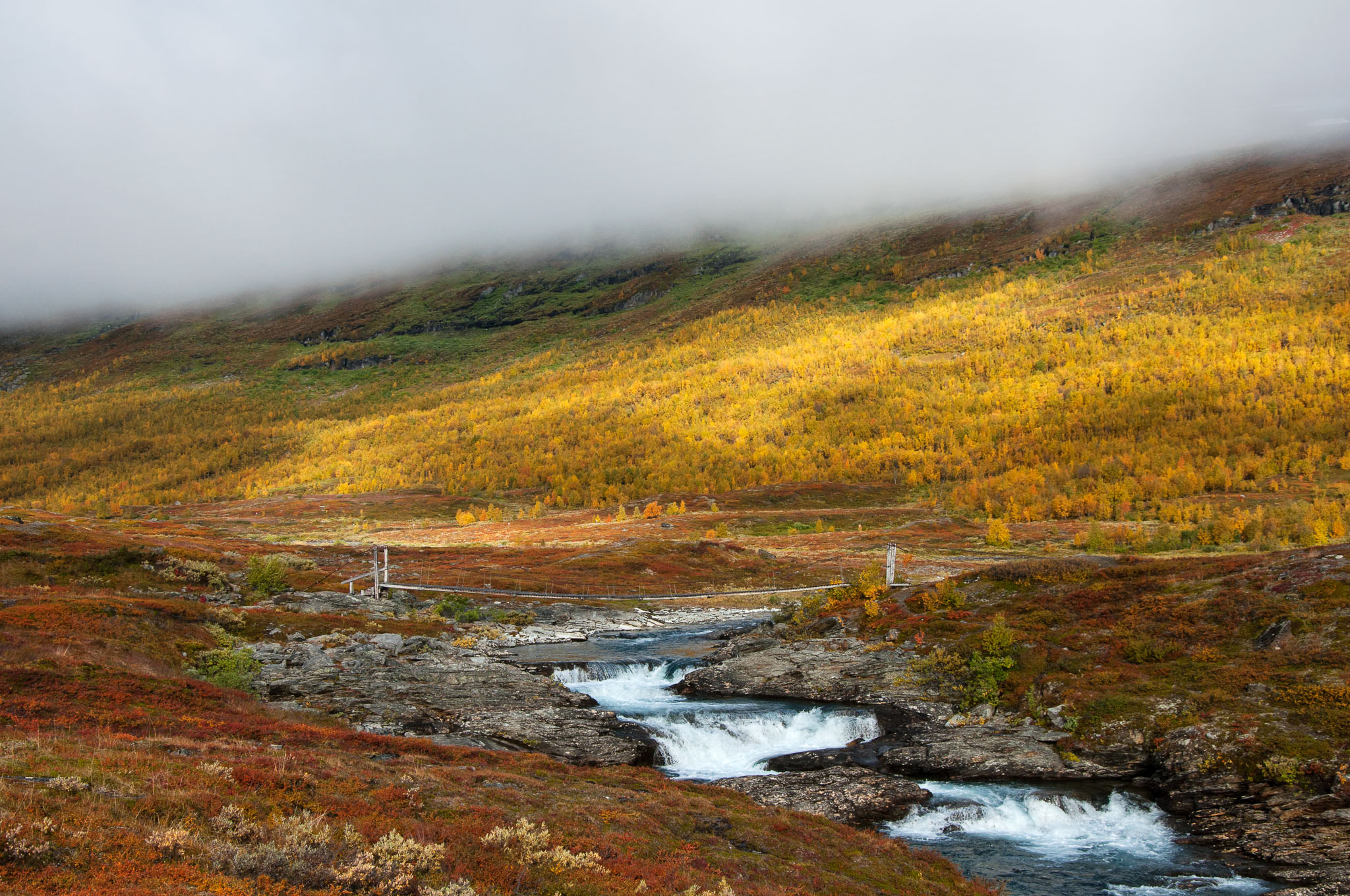 Abisko2017_DSC0496.jpg