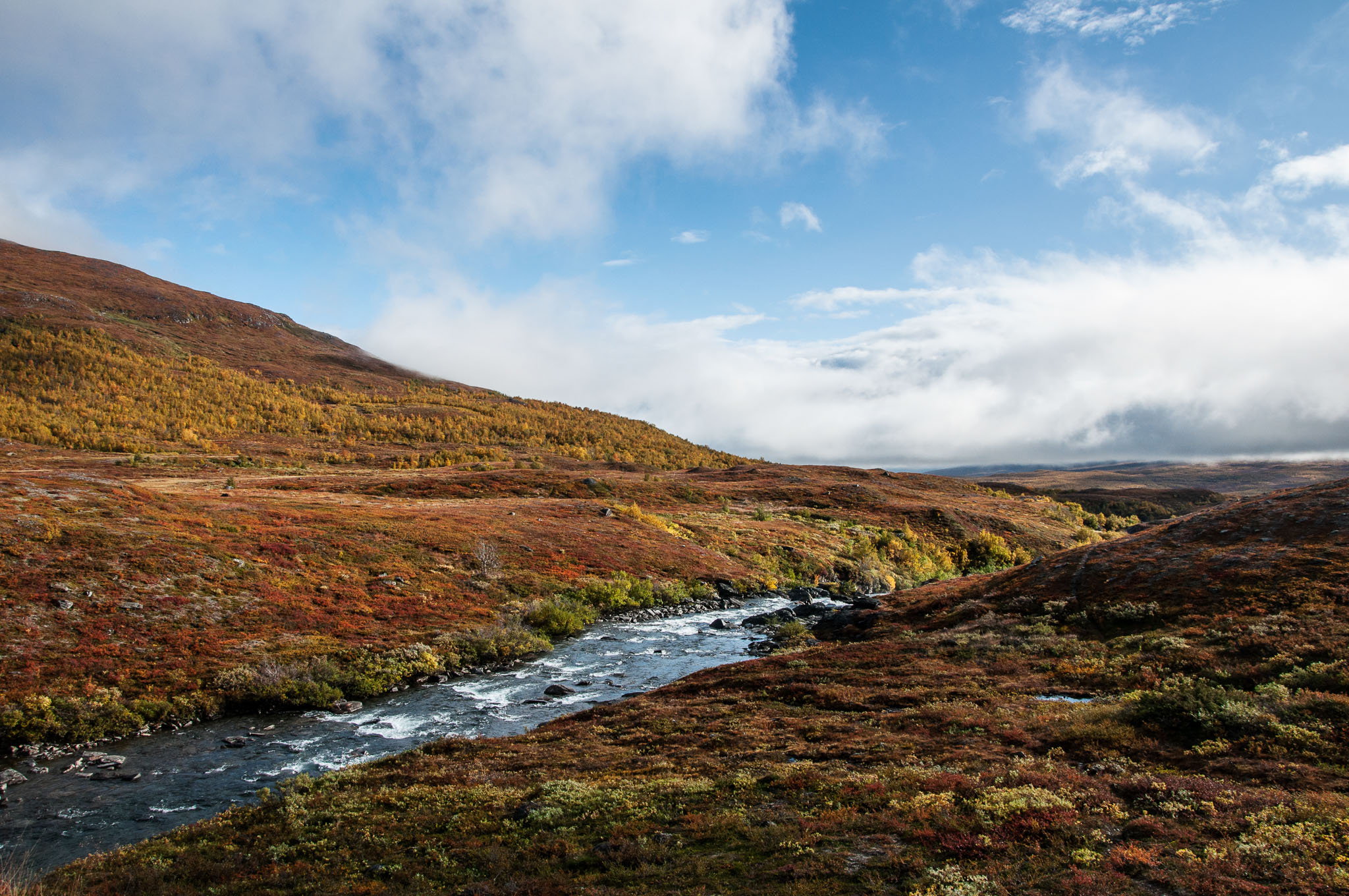 Abisko2017_DSC0498.jpg