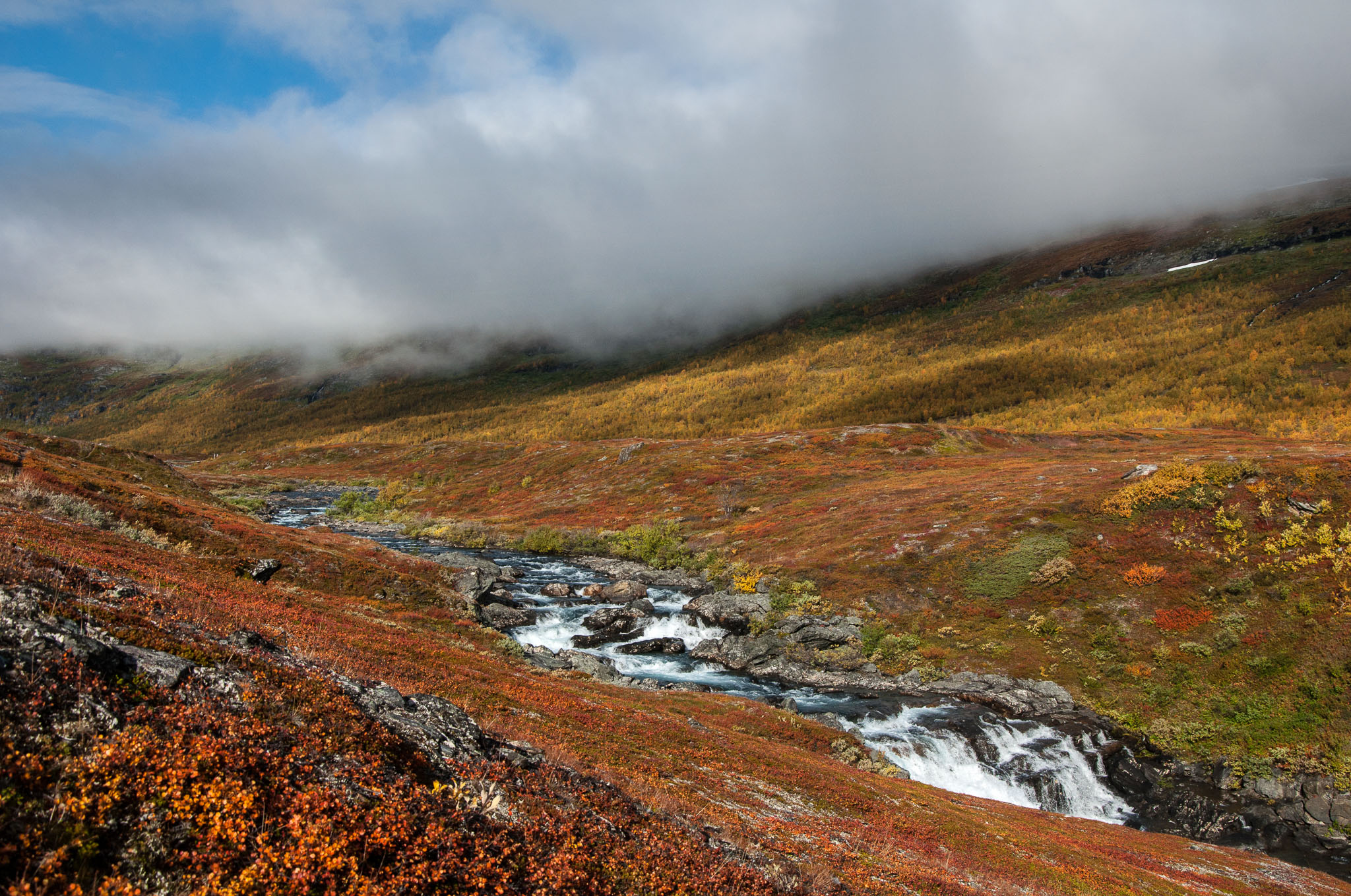 Abisko2017_DSC0500.jpg