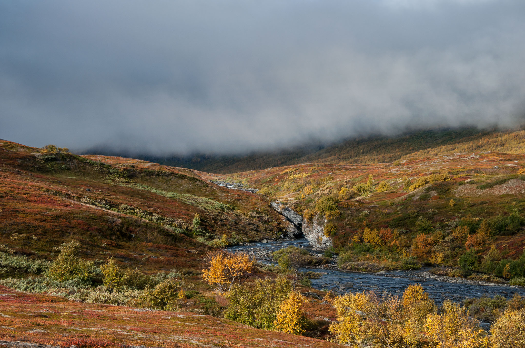 Abisko2017_DSC0505.jpg