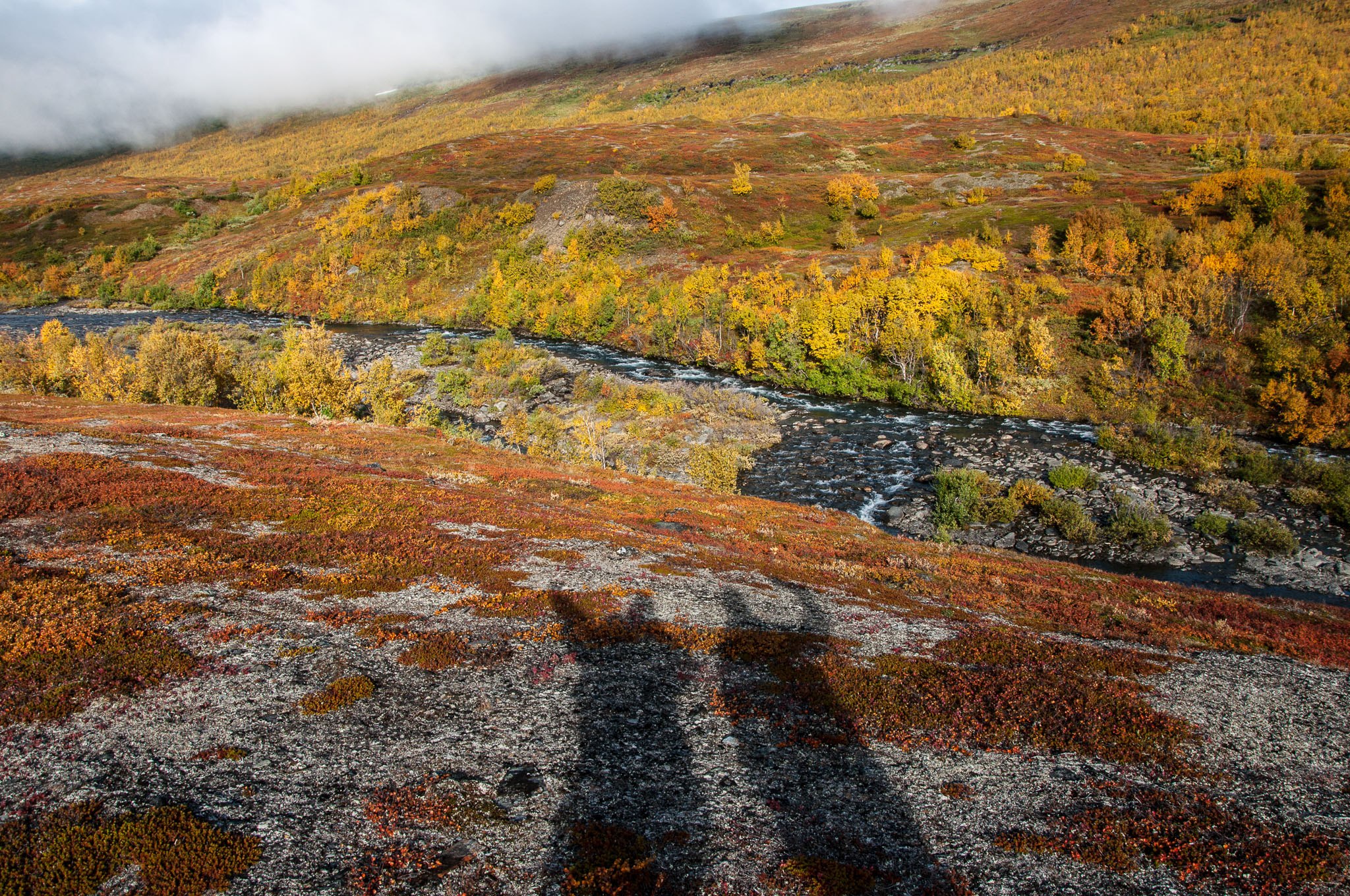 Abisko2017_DSC0507.jpg