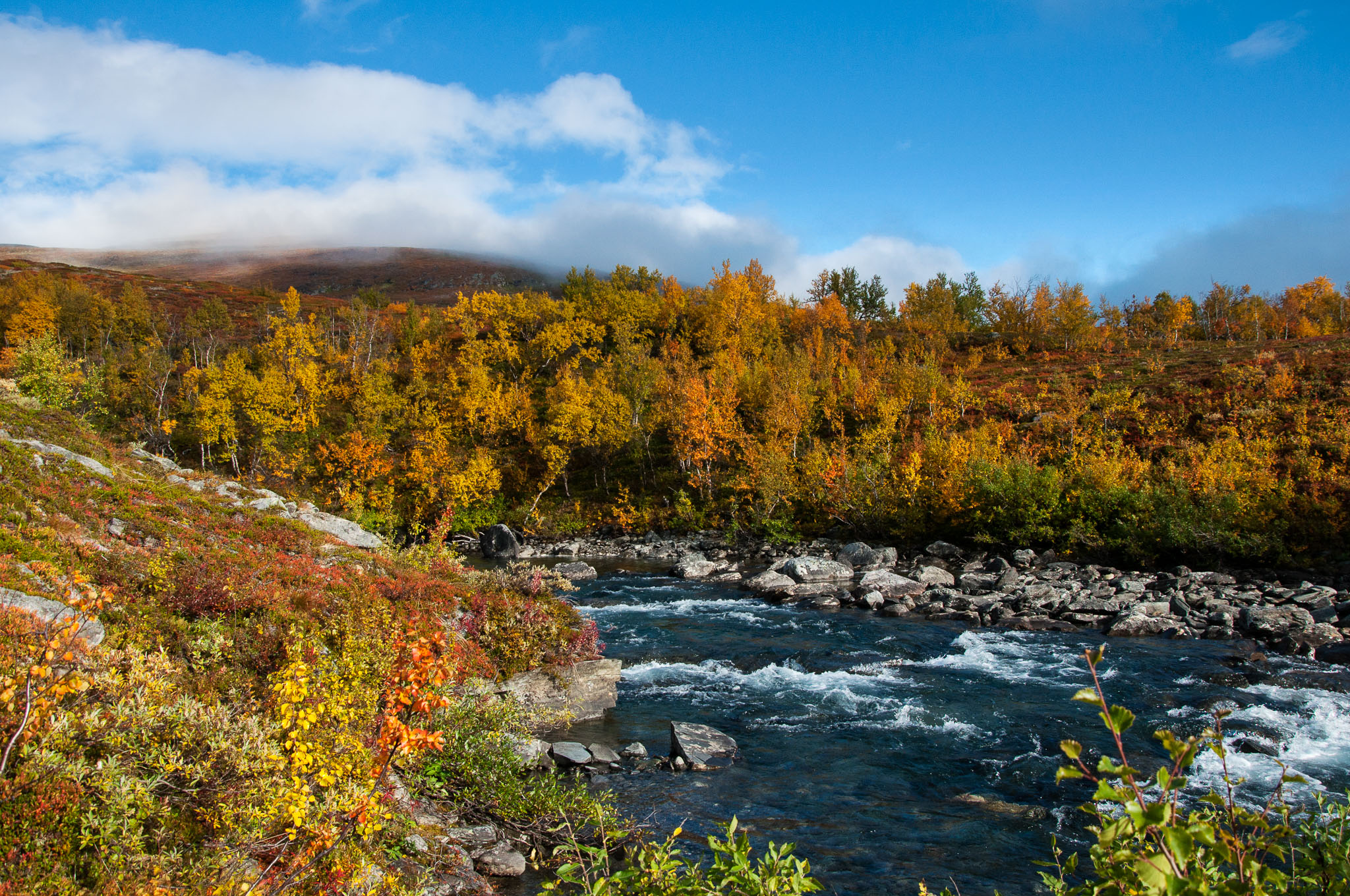 Abisko2017_DSC0523.jpg