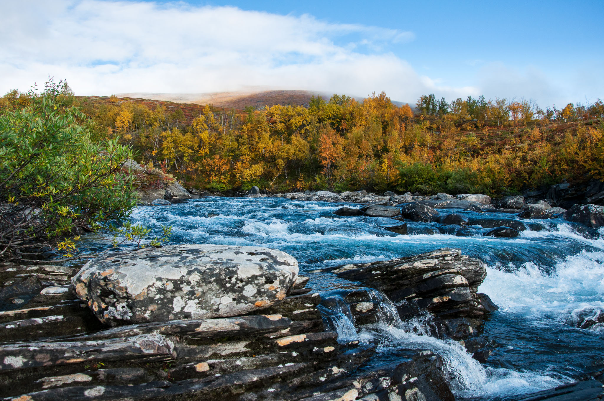 Abisko2017_DSC0526.jpg