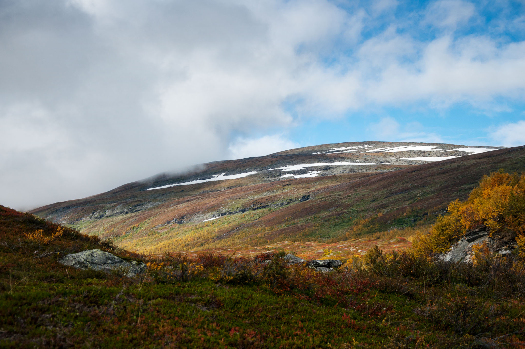 Abisko2017_DSC0535.jpg