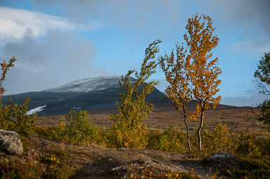 Abisko2017_DSC0029.jpg