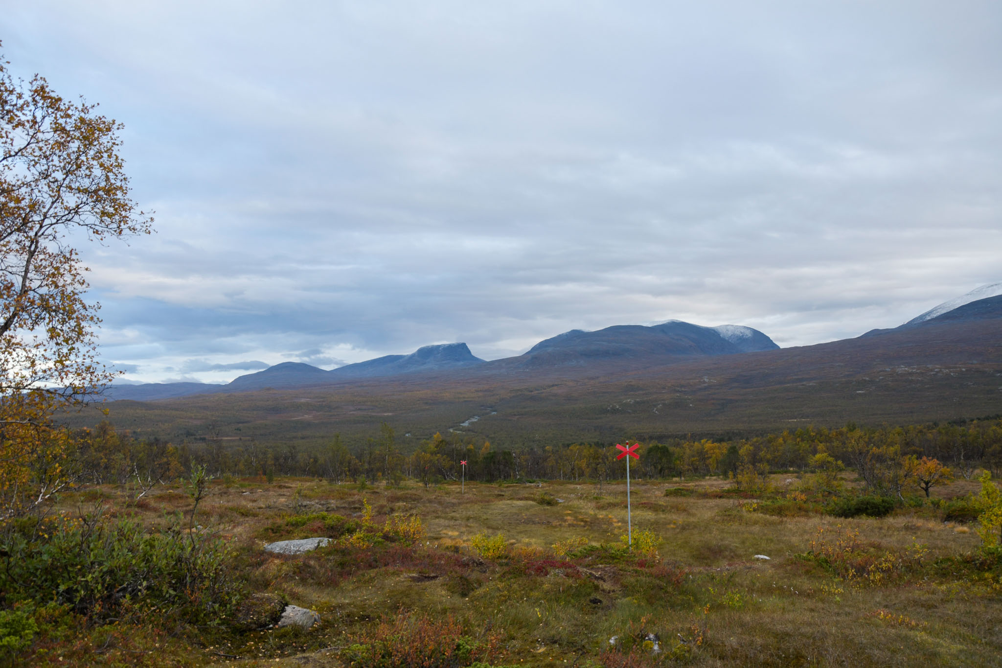 00024_Lapland-sep-2023.jpg