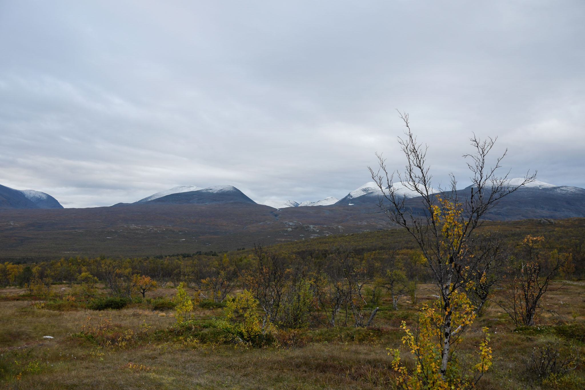 00025_Lapland-sep-2023.jpg