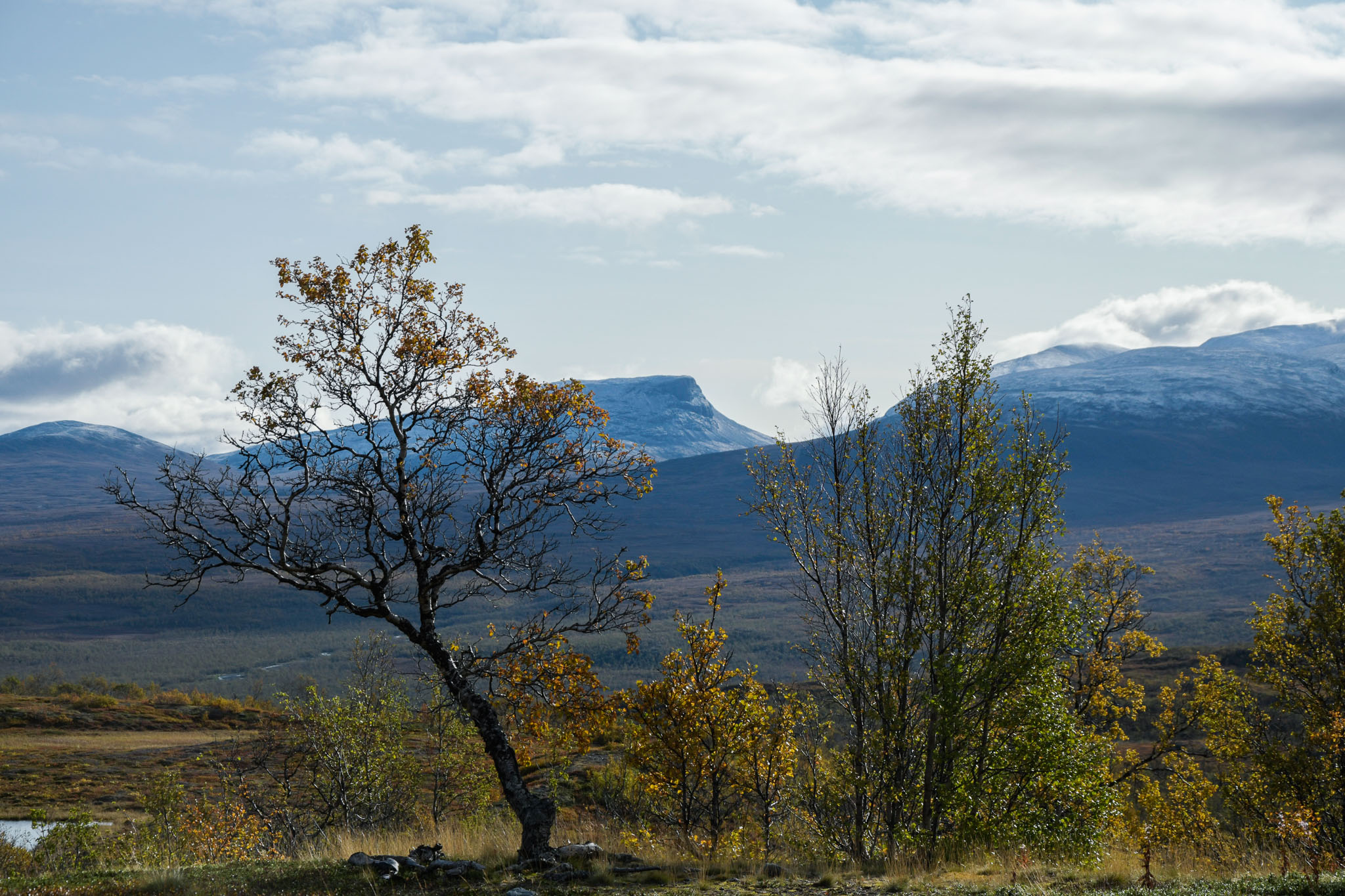 00039_Lapland-sep-2023.jpg