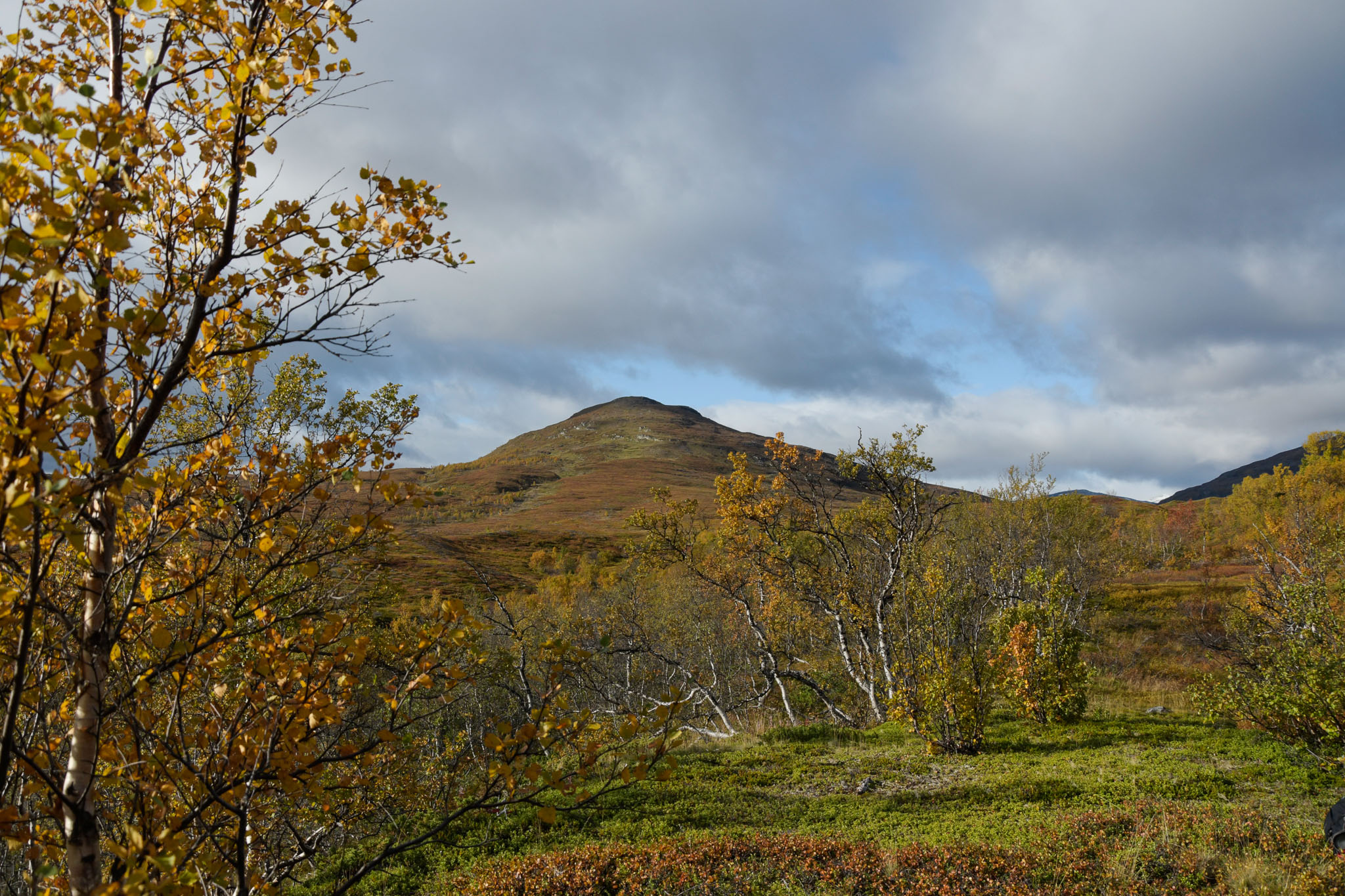 00048_Lapland-sep-2023.jpg