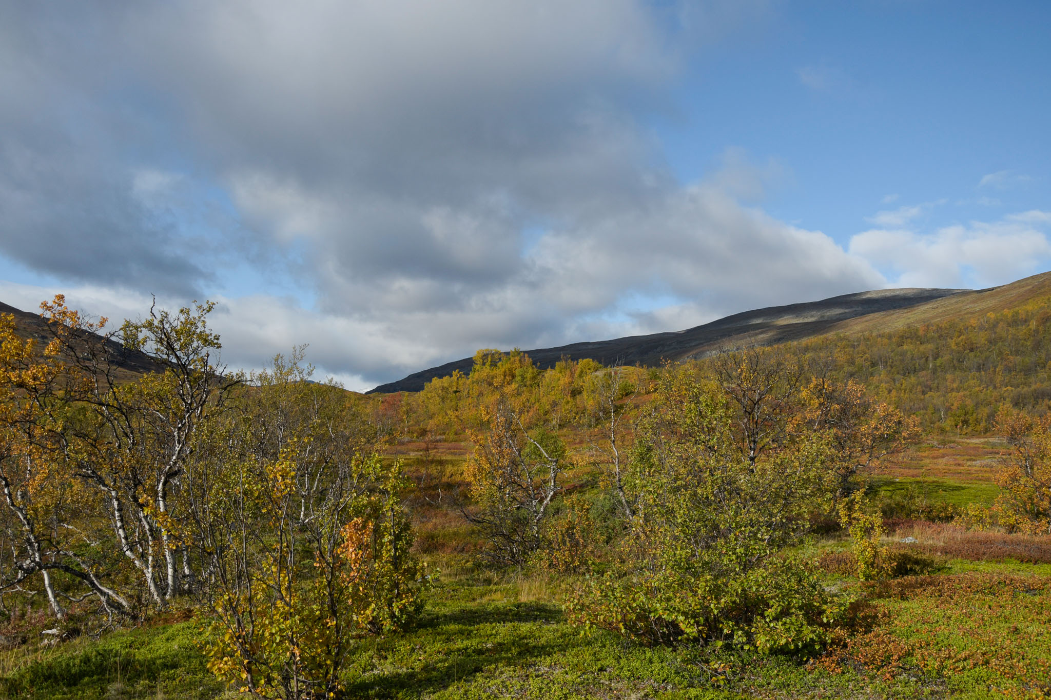 00050_Lapland-sep-2023.jpg