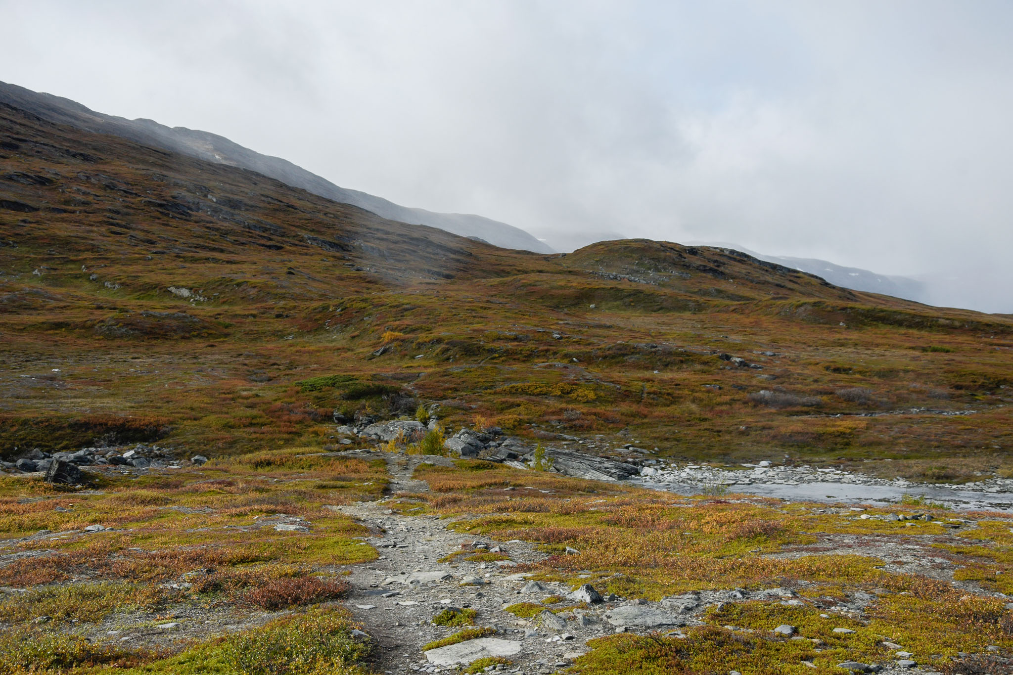 00056_Lapland-sep-2023.jpg