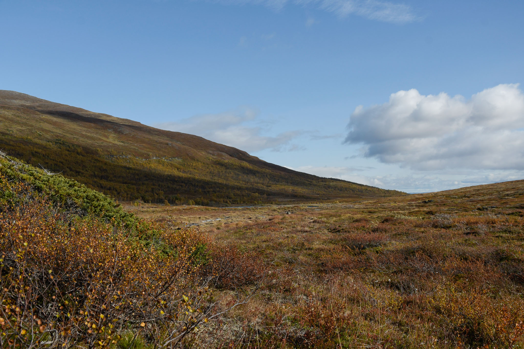 00071_Lapland-sep-2023.jpg