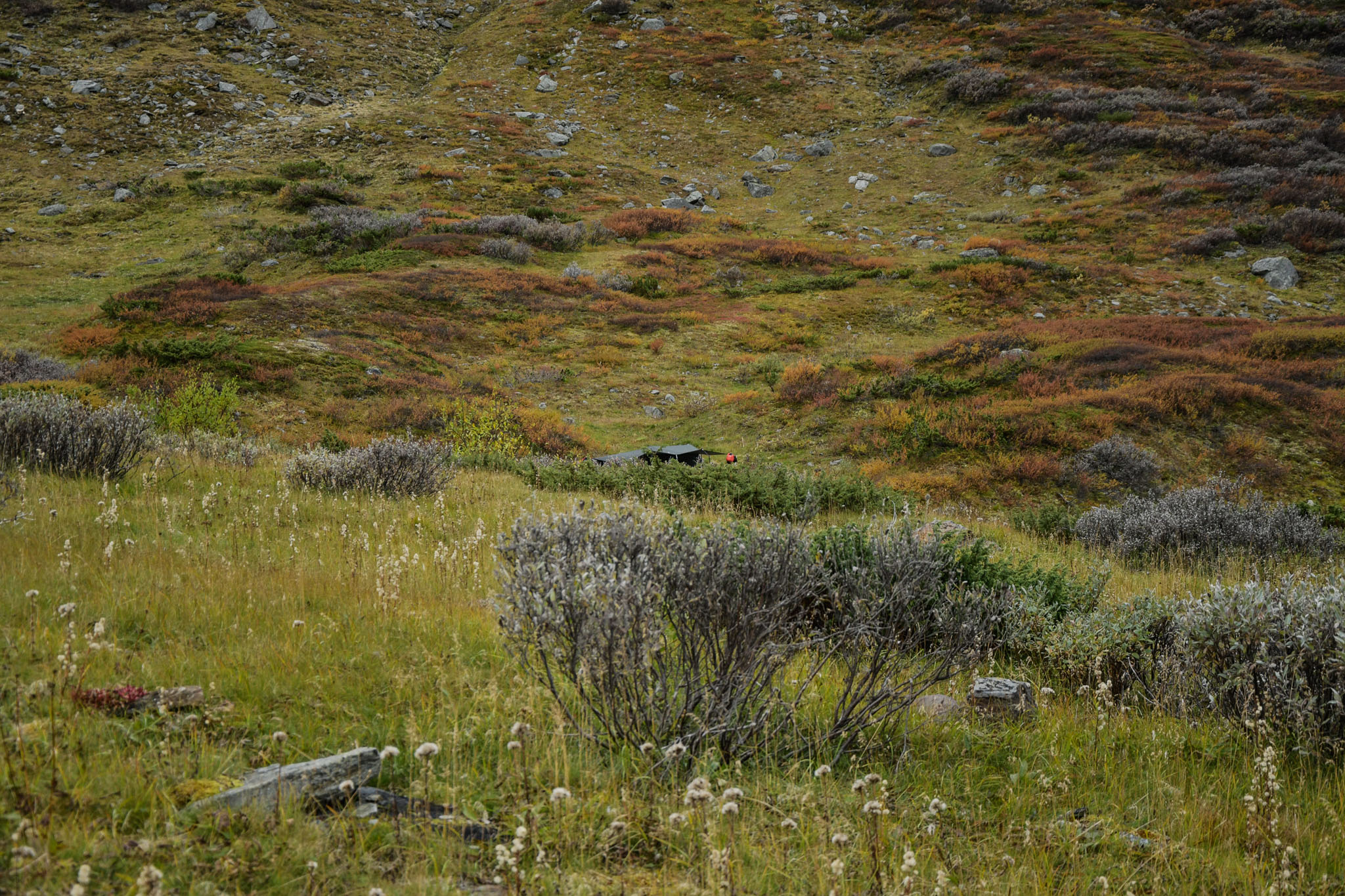 00107_Lapland-sep-2023.jpg