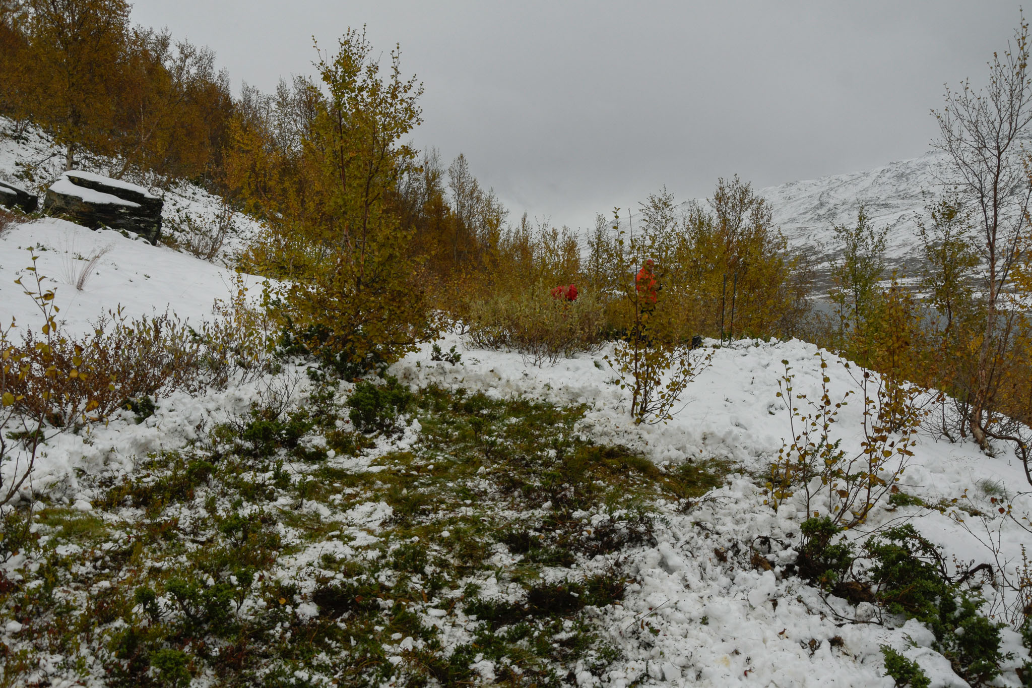 00403_Lapland-sep-2023.jpg