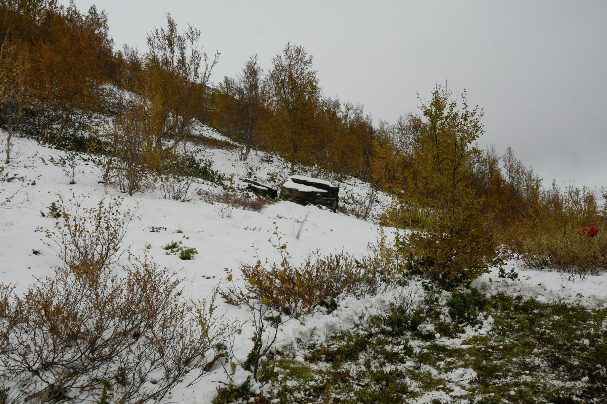 00405_Lapland-sep-2023.jpg