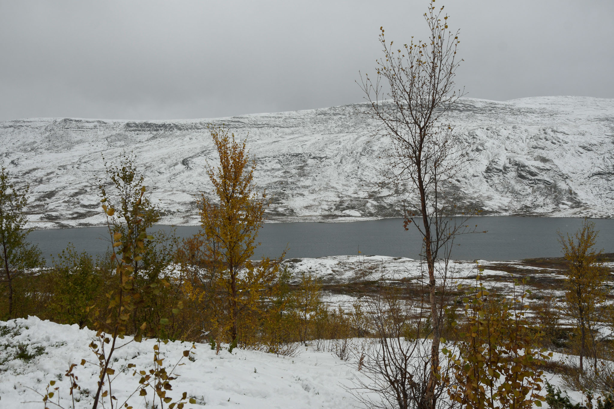 00408_Lapland-sep-2023.jpg