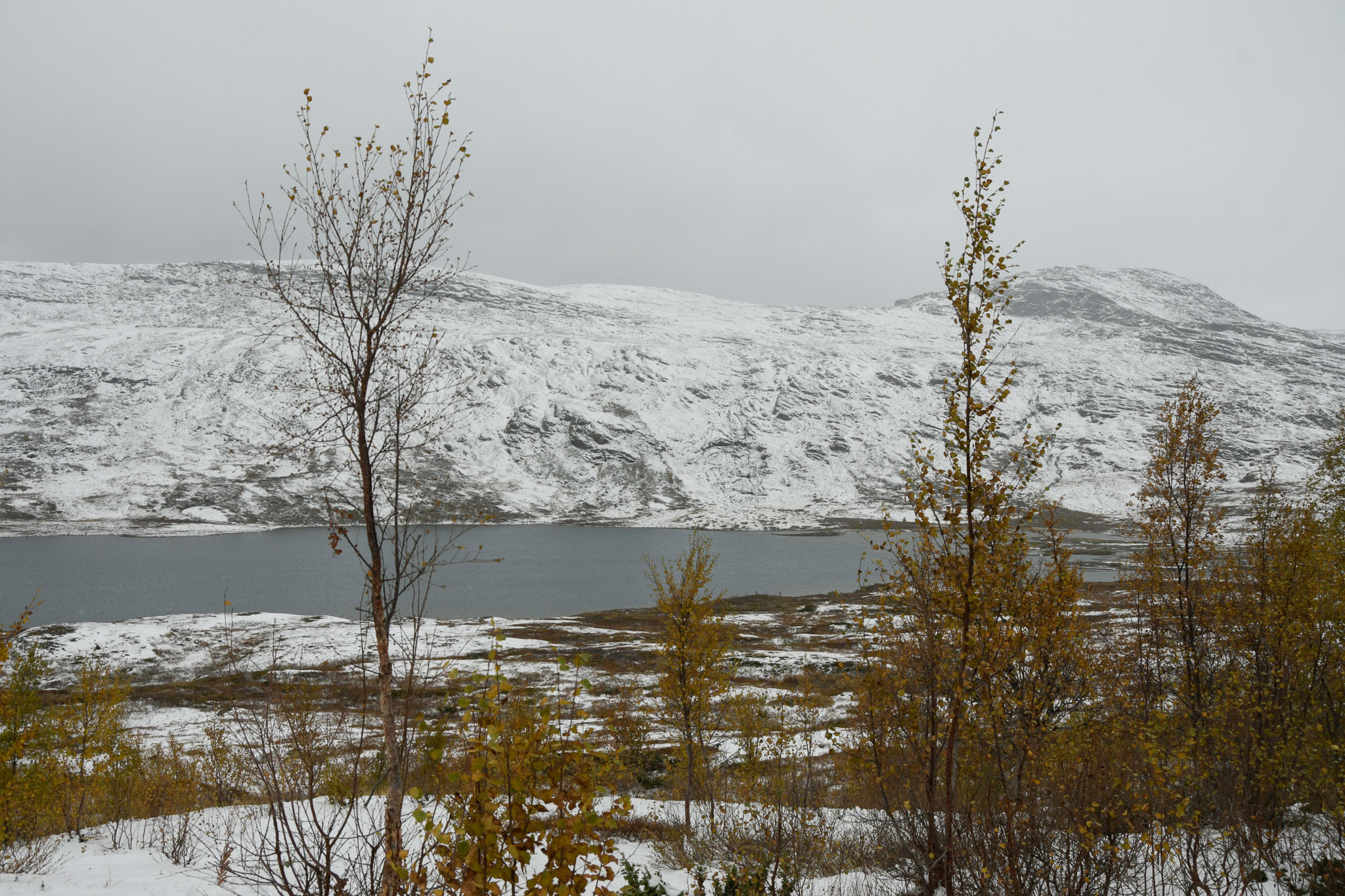 00409_Lapland-sep-2023.jpg