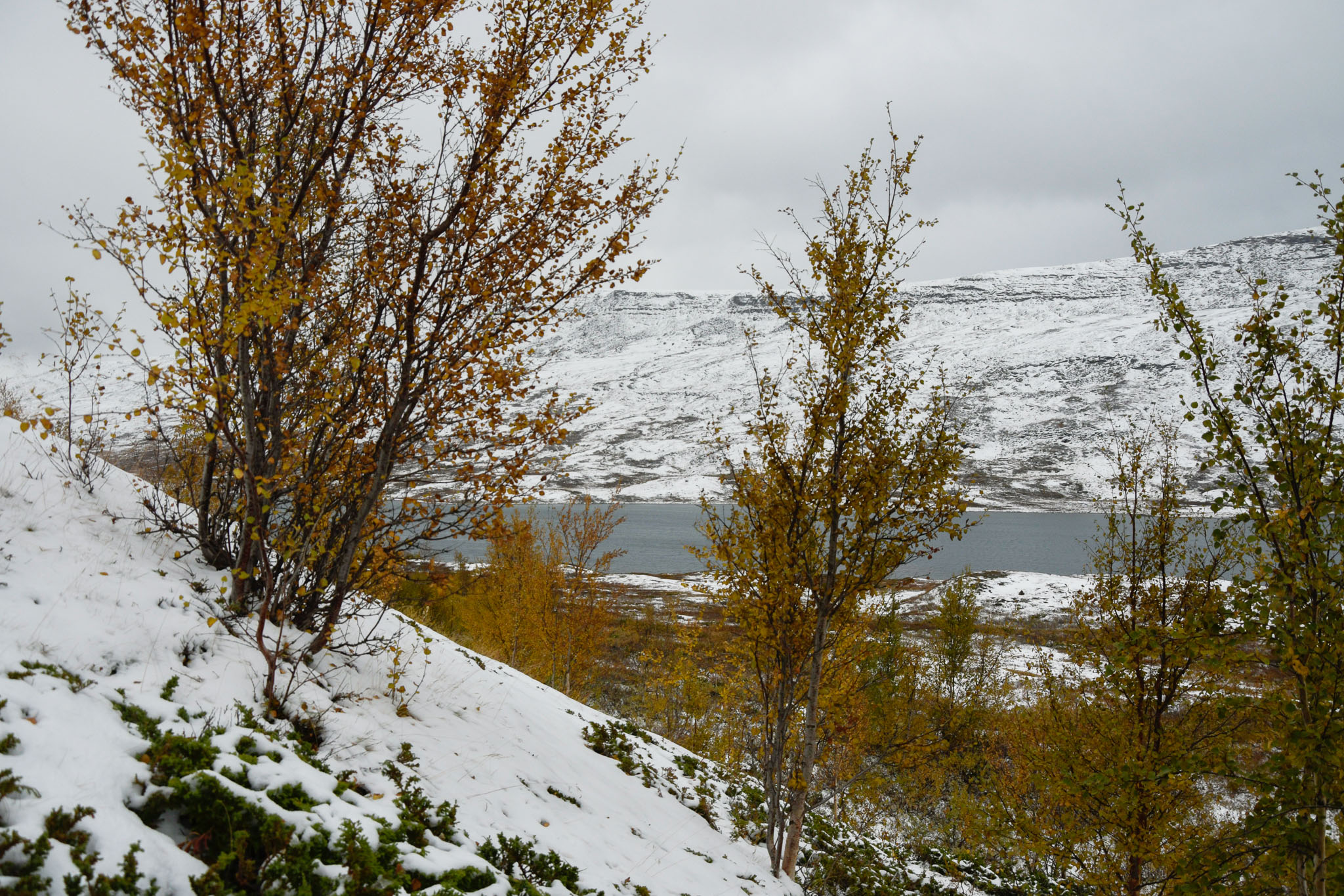 00459_Lapland-sep-2023.jpg