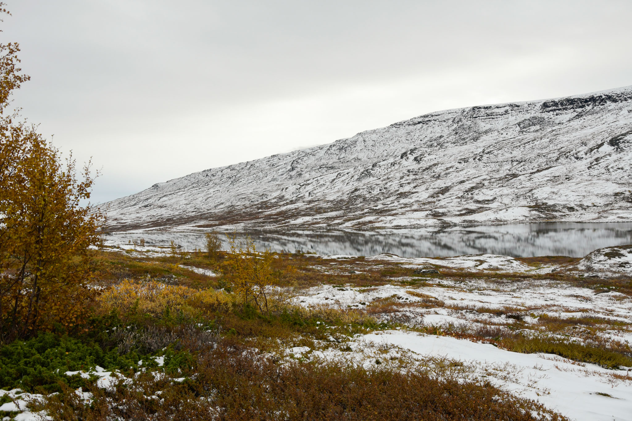 00483_Lapland-sep-2023.jpg