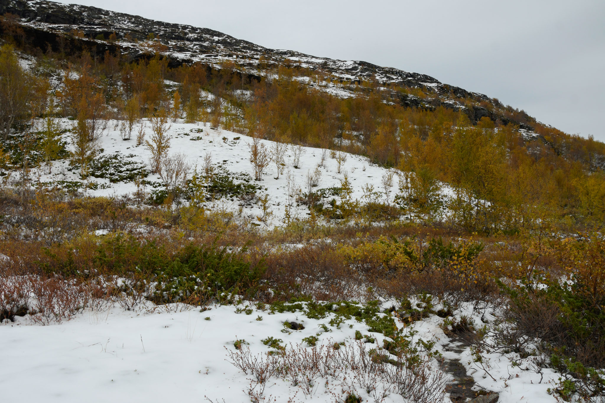 00485_Lapland-sep-2023.jpg