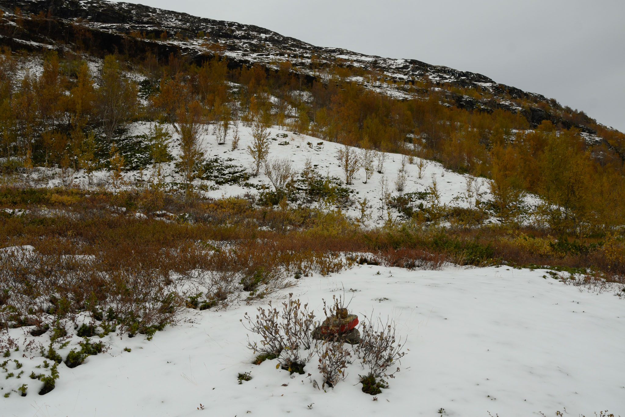 00487_Lapland-sep-2023.jpg