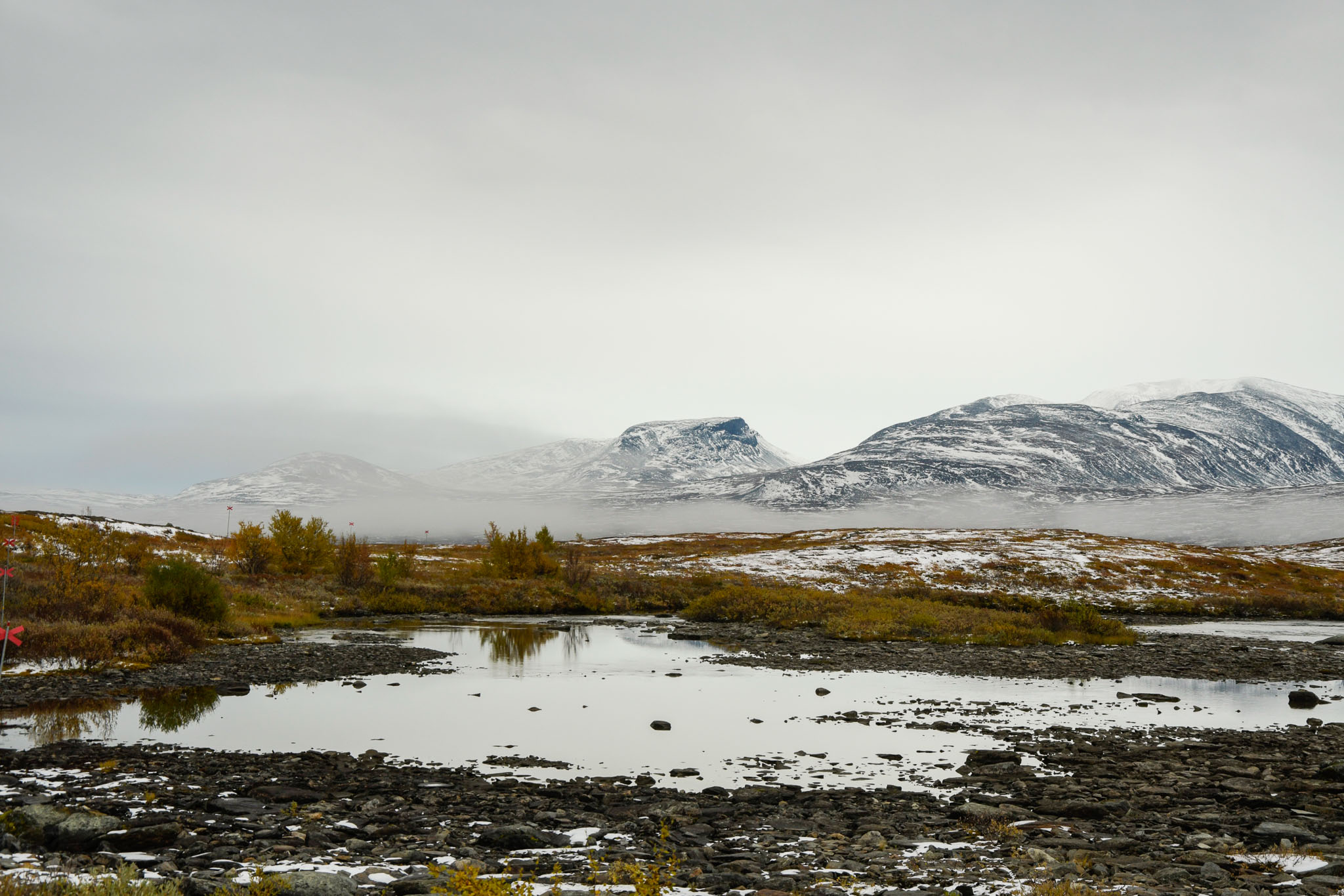 00492_Lapland-sep-2023.jpg