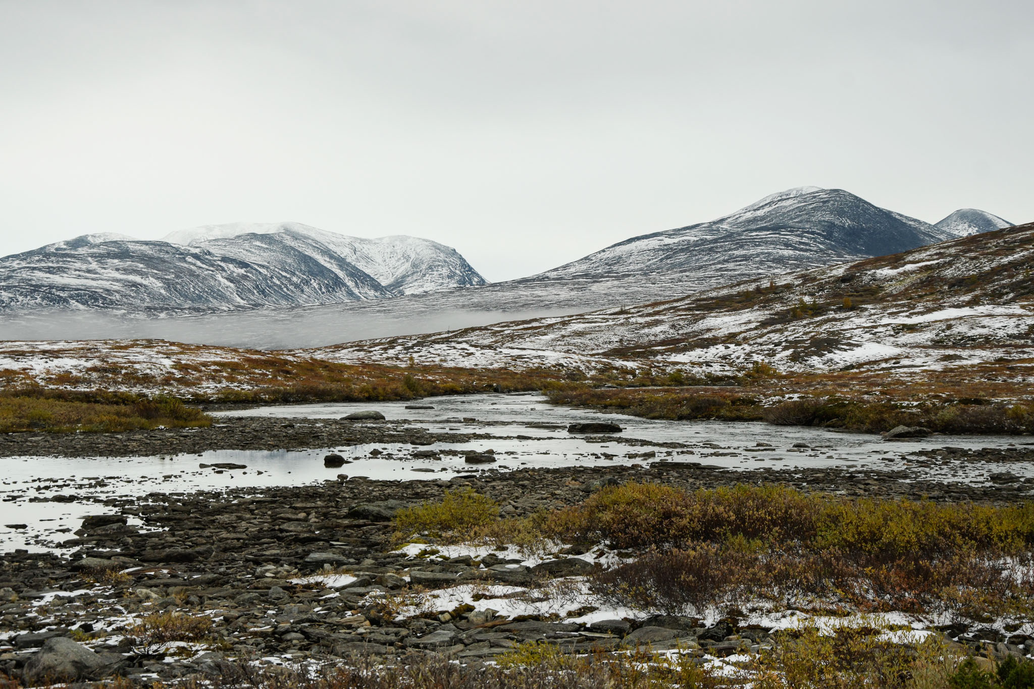 00493_Lapland-sep-2023.jpg