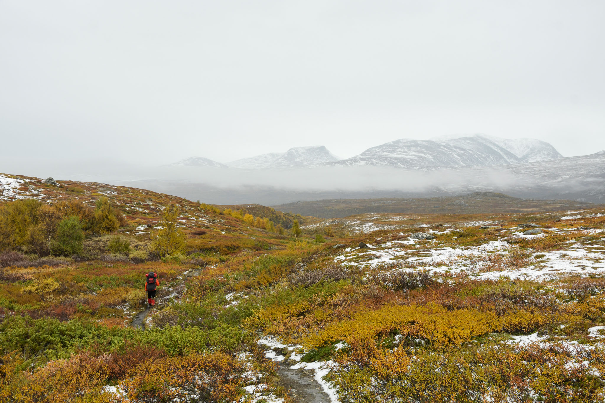 00502_Lapland-sep-2023.jpg