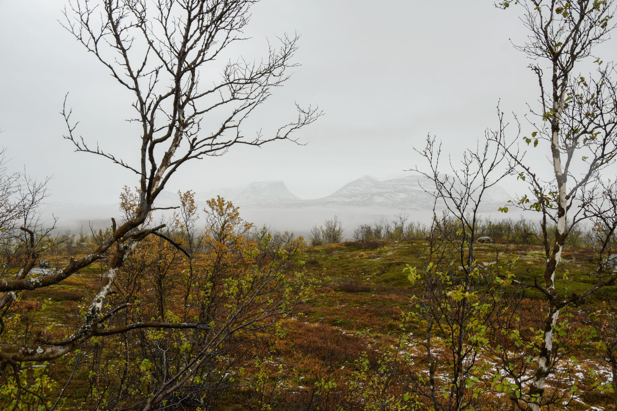 00508_Lapland-sep-2023.jpg