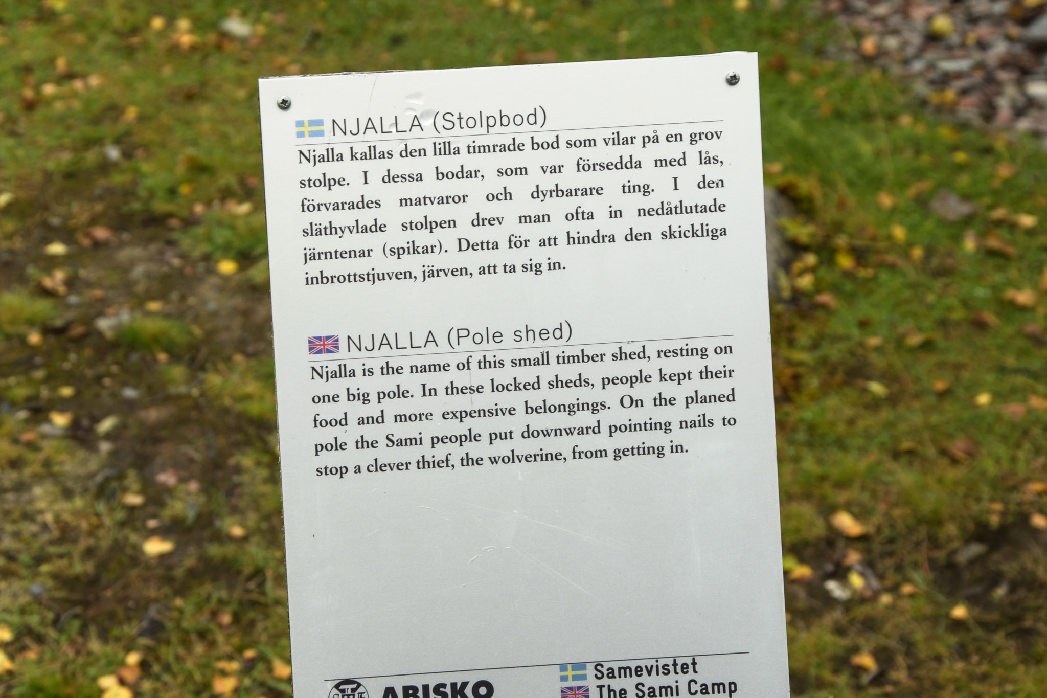 00510_Lapland-sep-2023.jpg