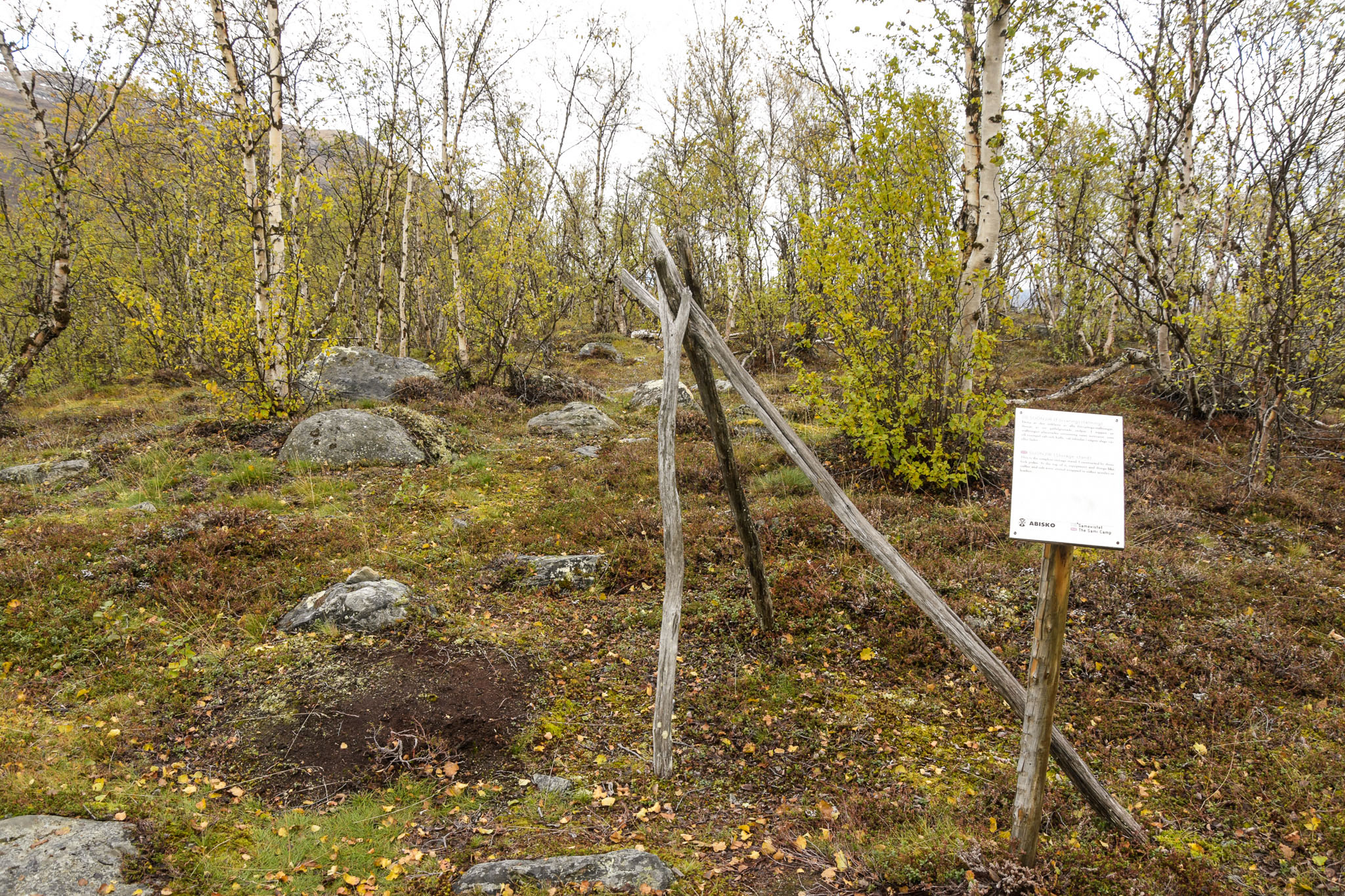 00516_Lapland-sep-2023.jpg