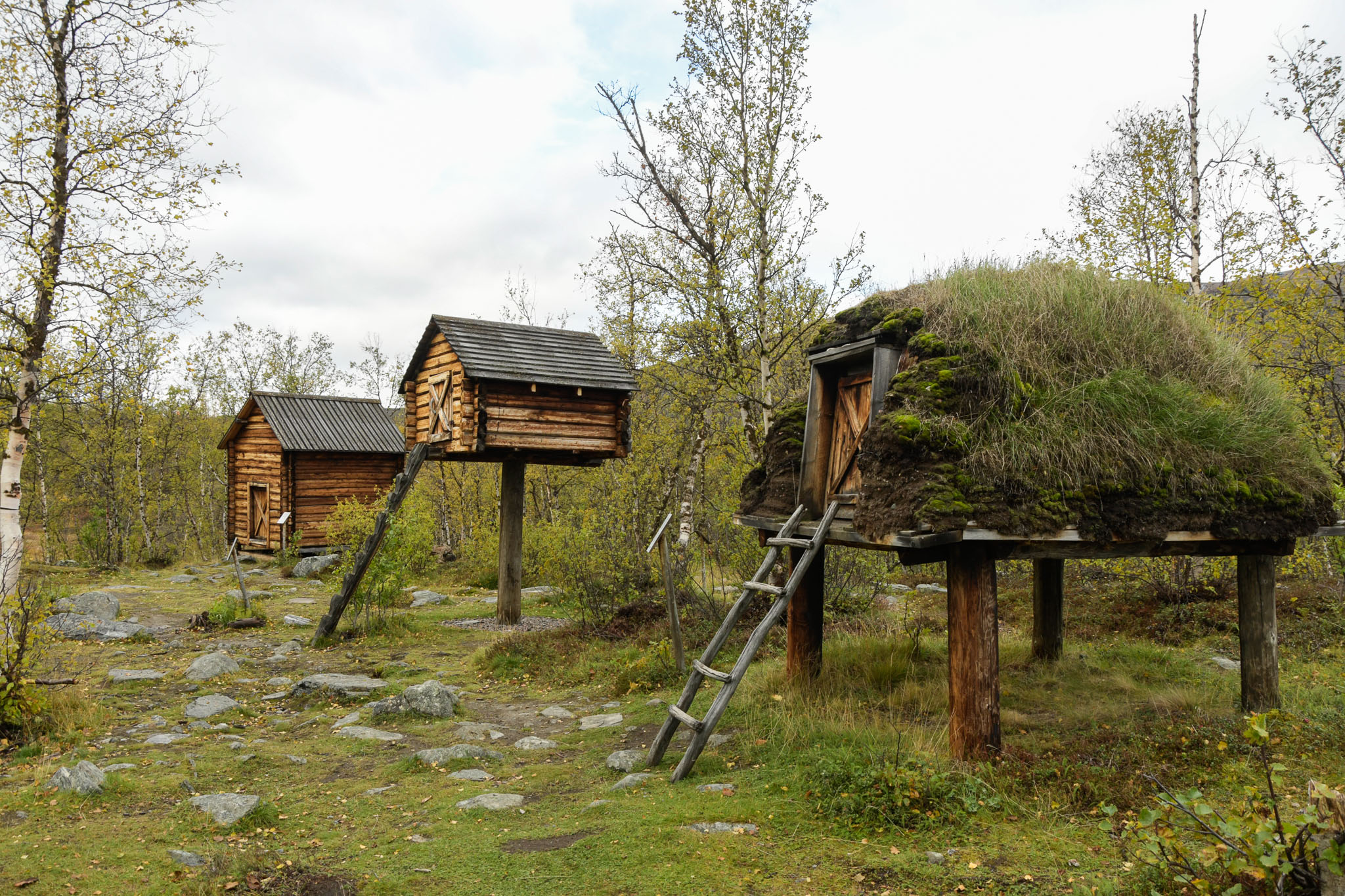 00518_Lapland-sep-2023.jpg