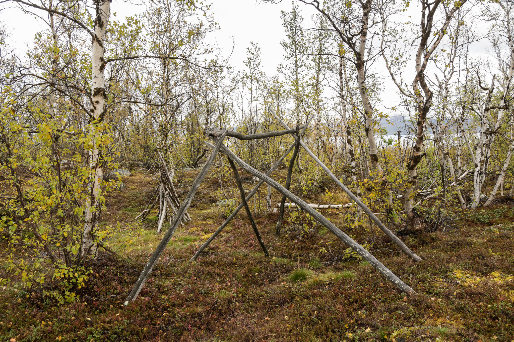 00521_Lapland-sep-2023.jpg