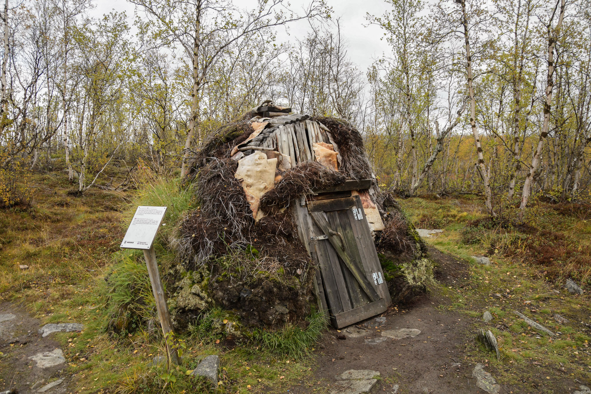 00537_Lapland-sep-2023.jpg