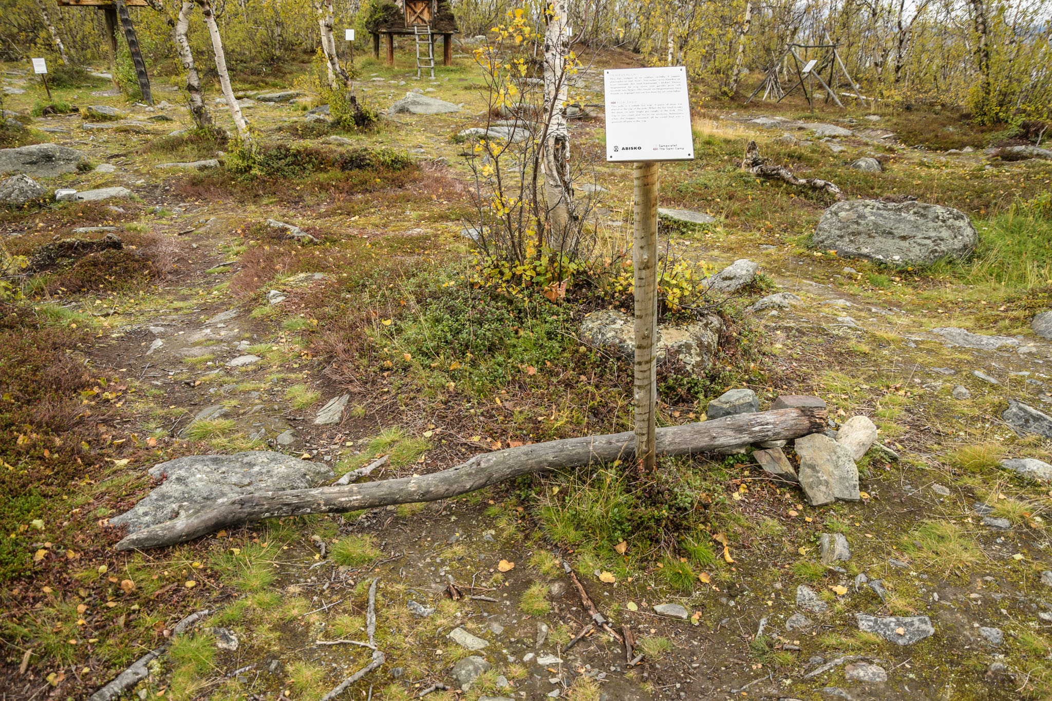 00543_Lapland-sep-2023.jpg