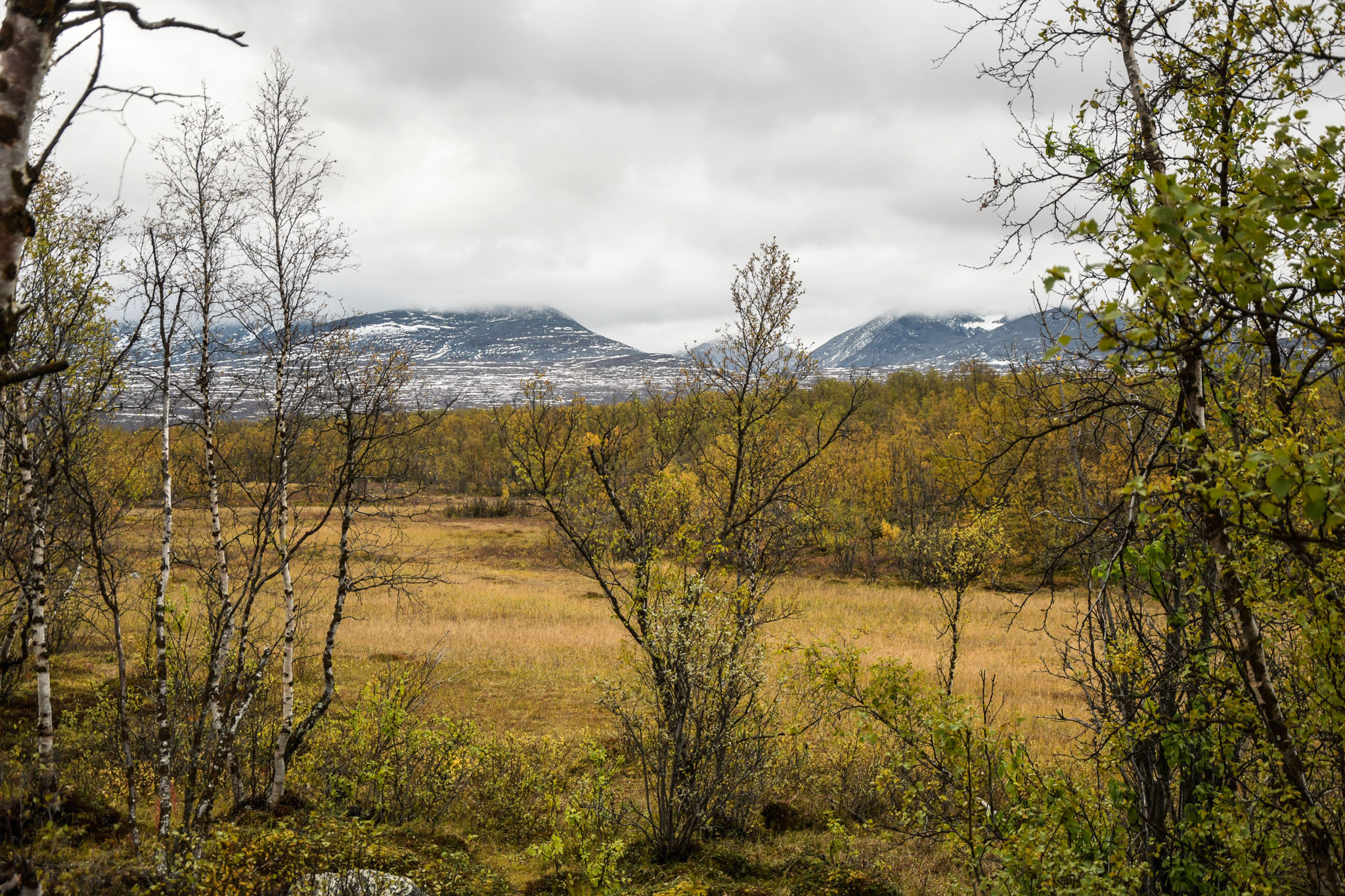 00544_Lapland-sep-2023.jpg