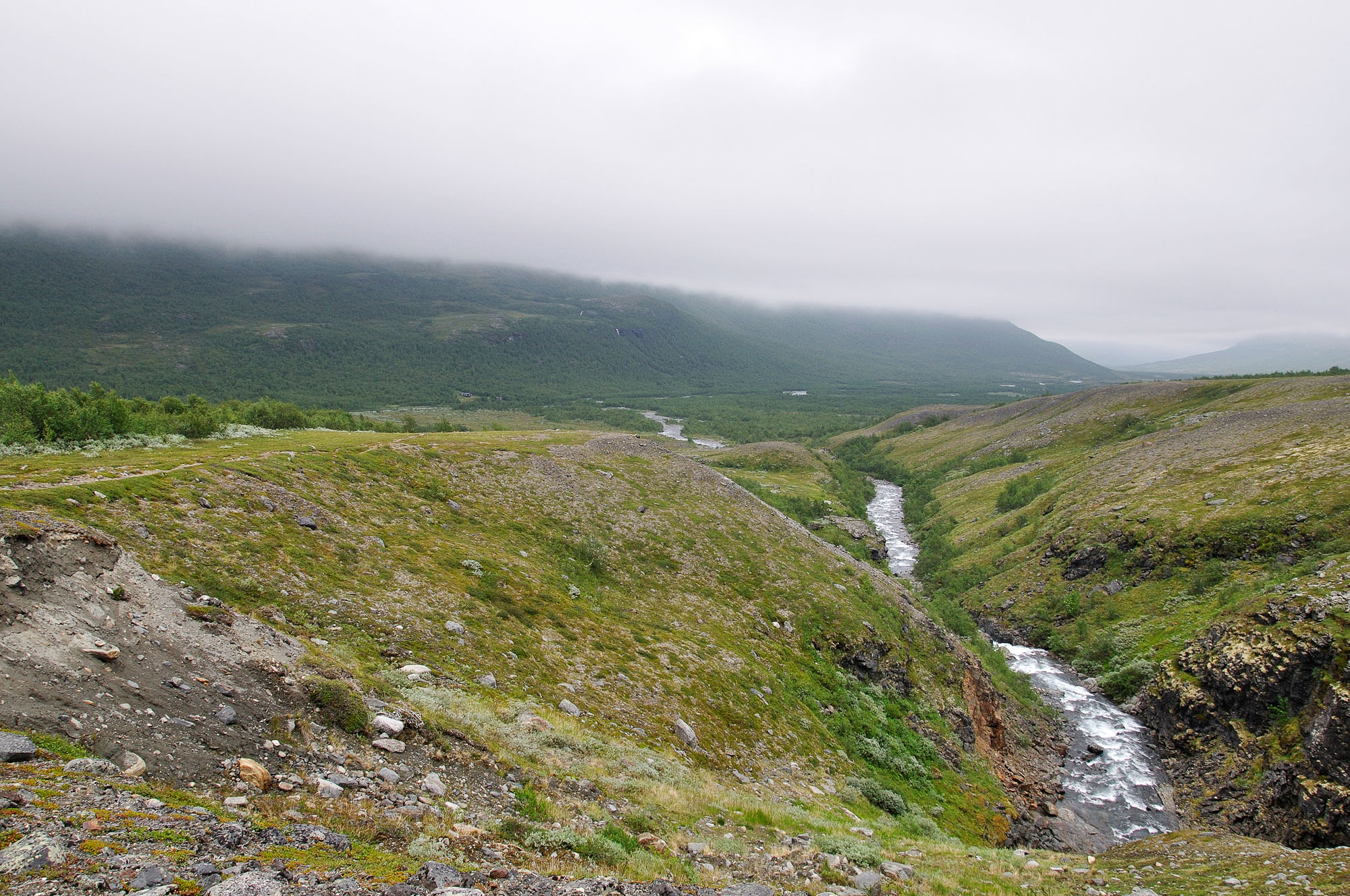 Abisko2010_02148.jpg