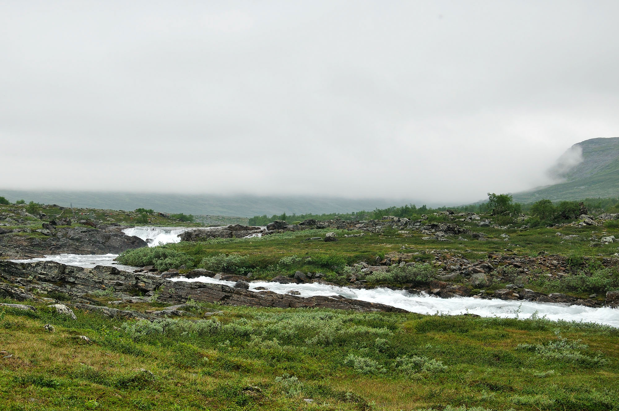 Abisko2010_175.jpg