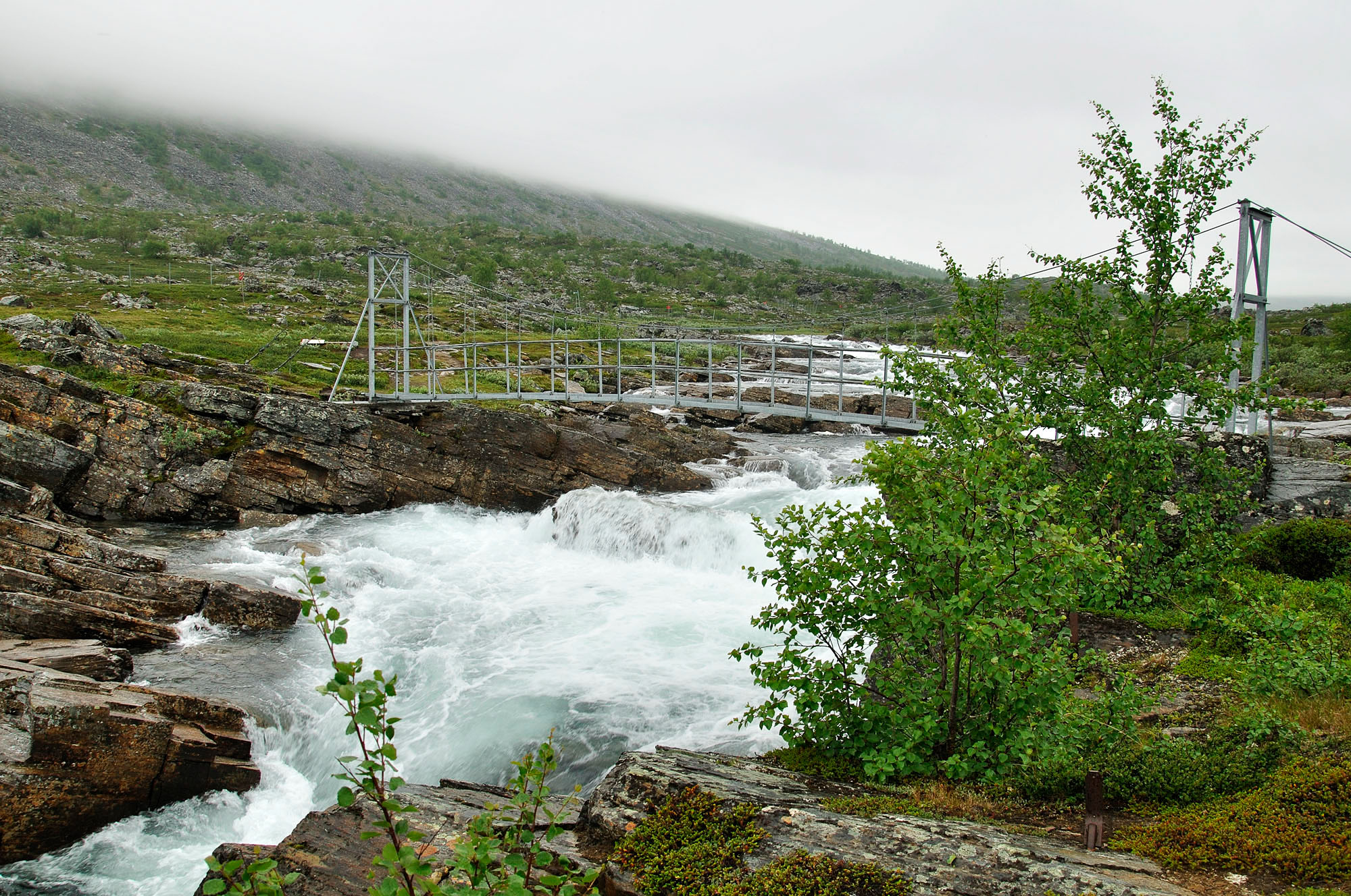 Abisko2010_177.jpg