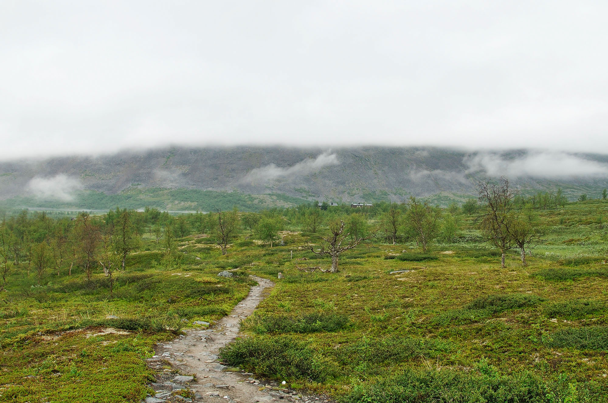 Abisko2010_186.jpg