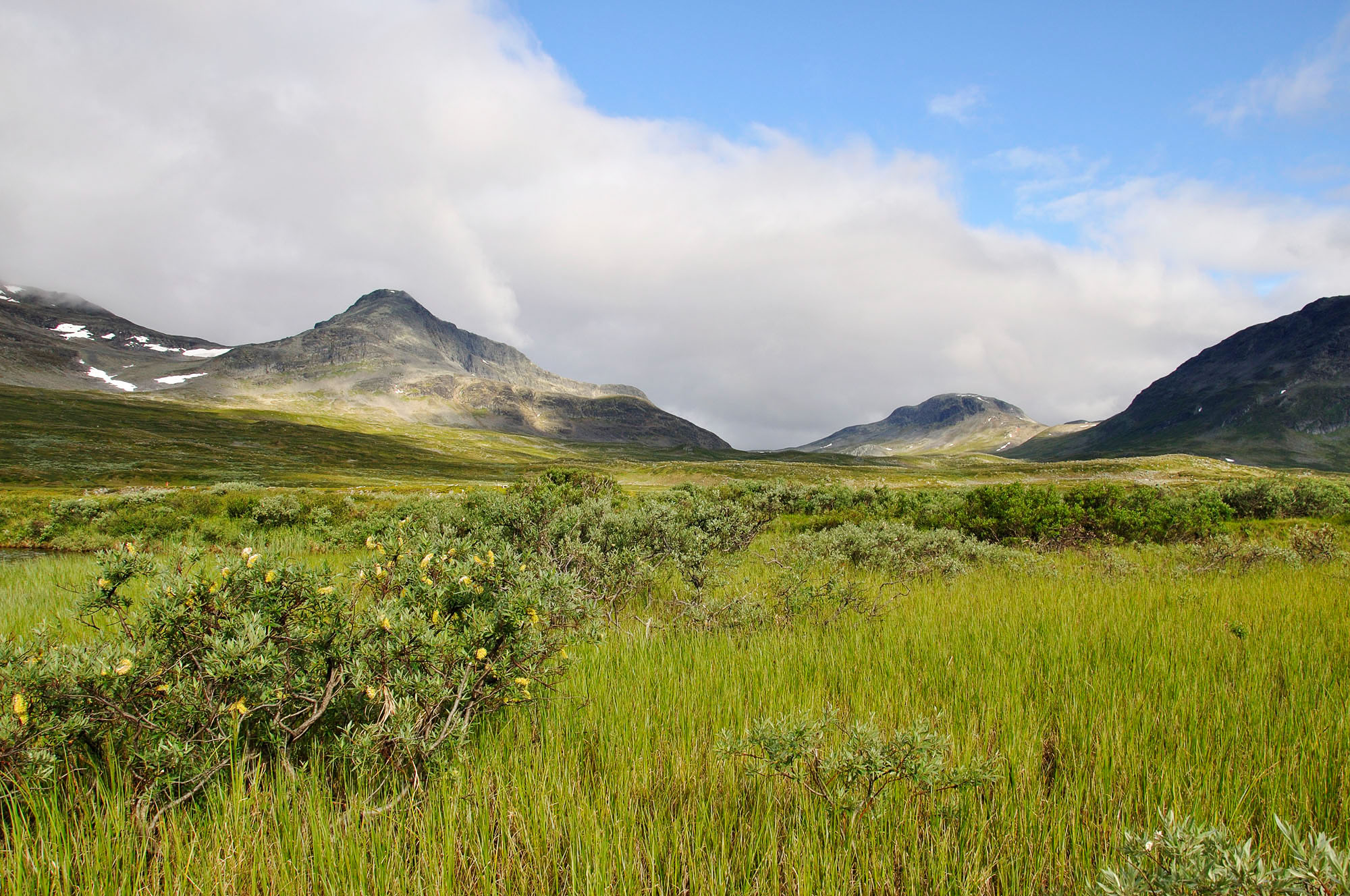 Abisko2010_213.jpg