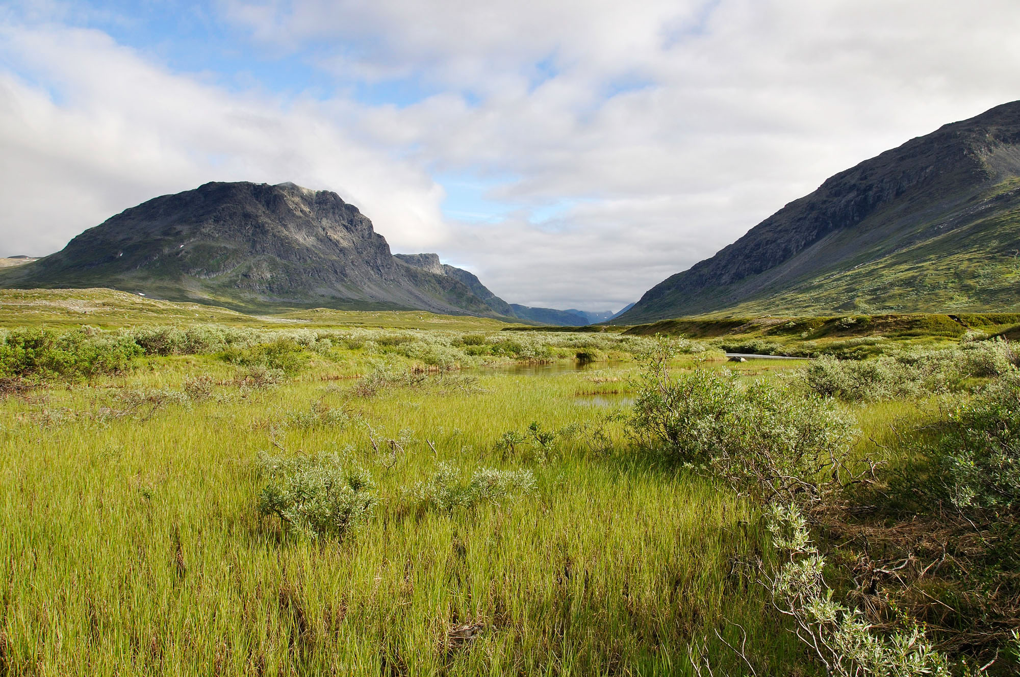 Abisko2010_215.jpg