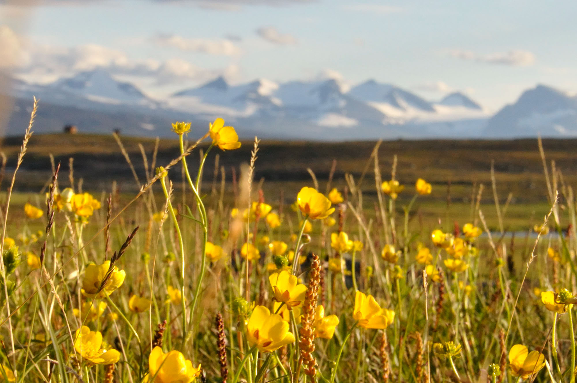 Abisko2010_66.jpg