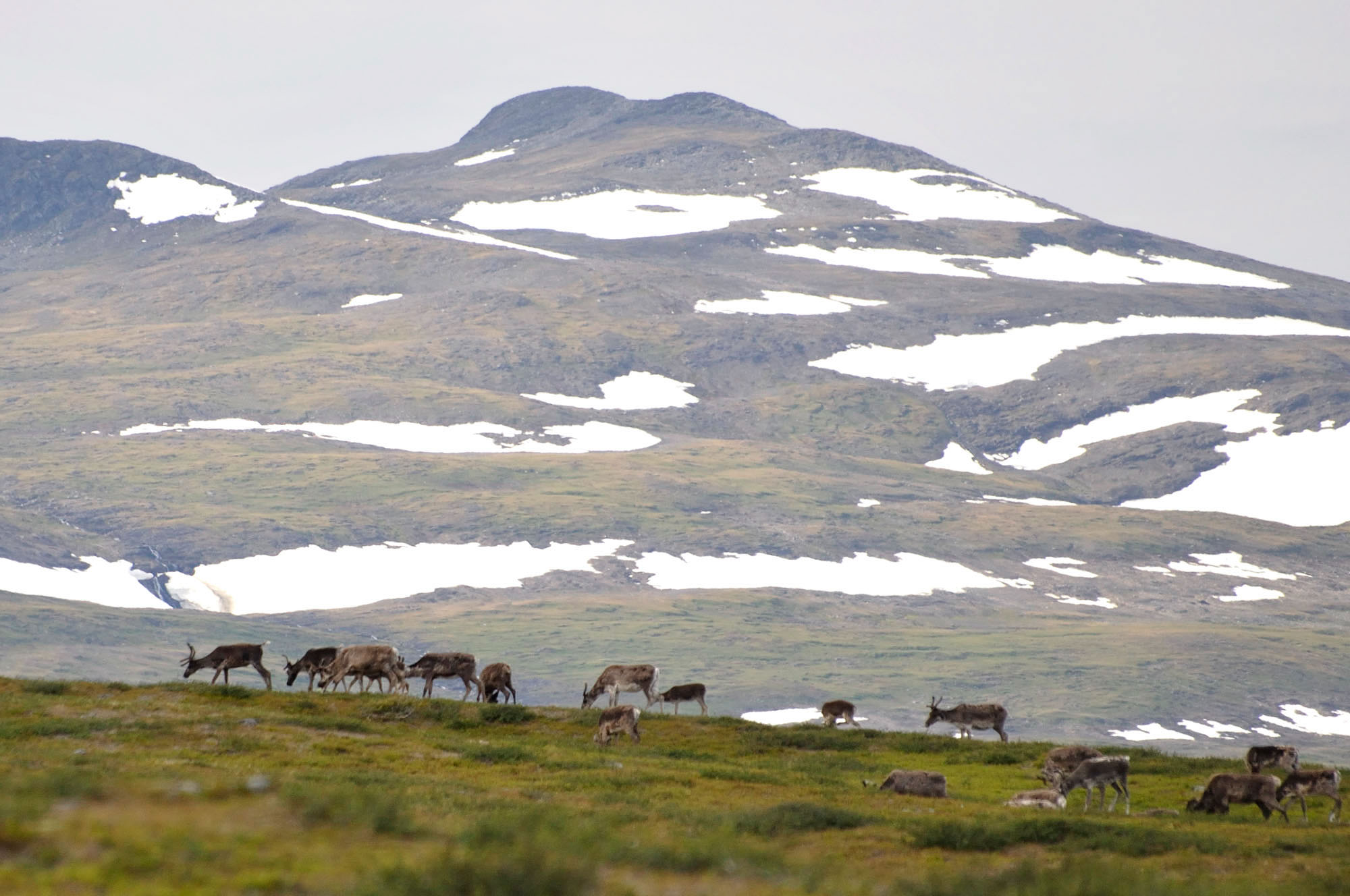 Abisko2010_w02.jpg