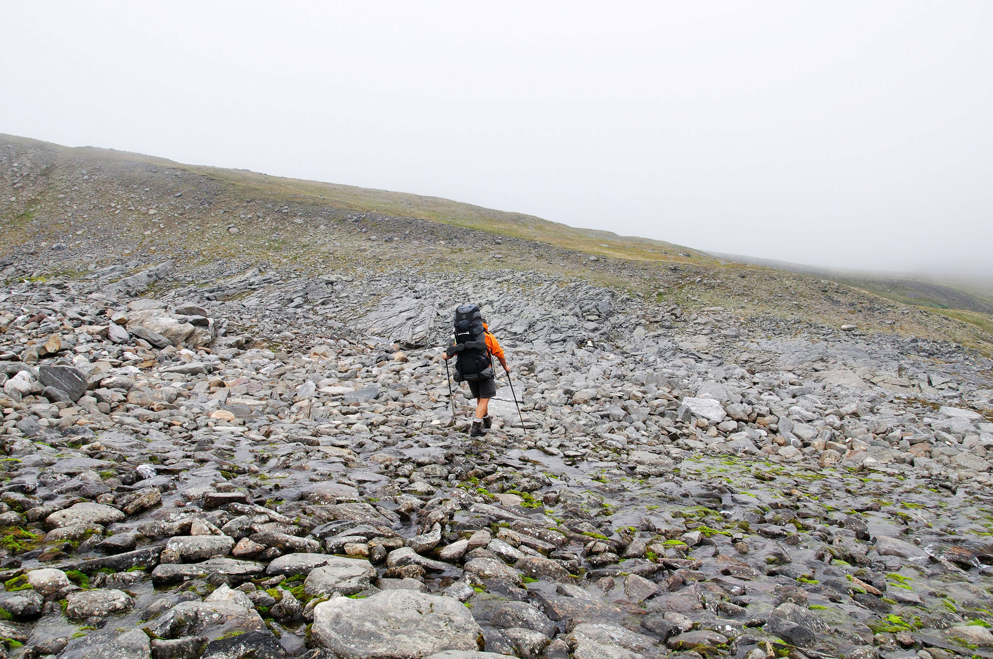 Abisko2010_w27.jpg