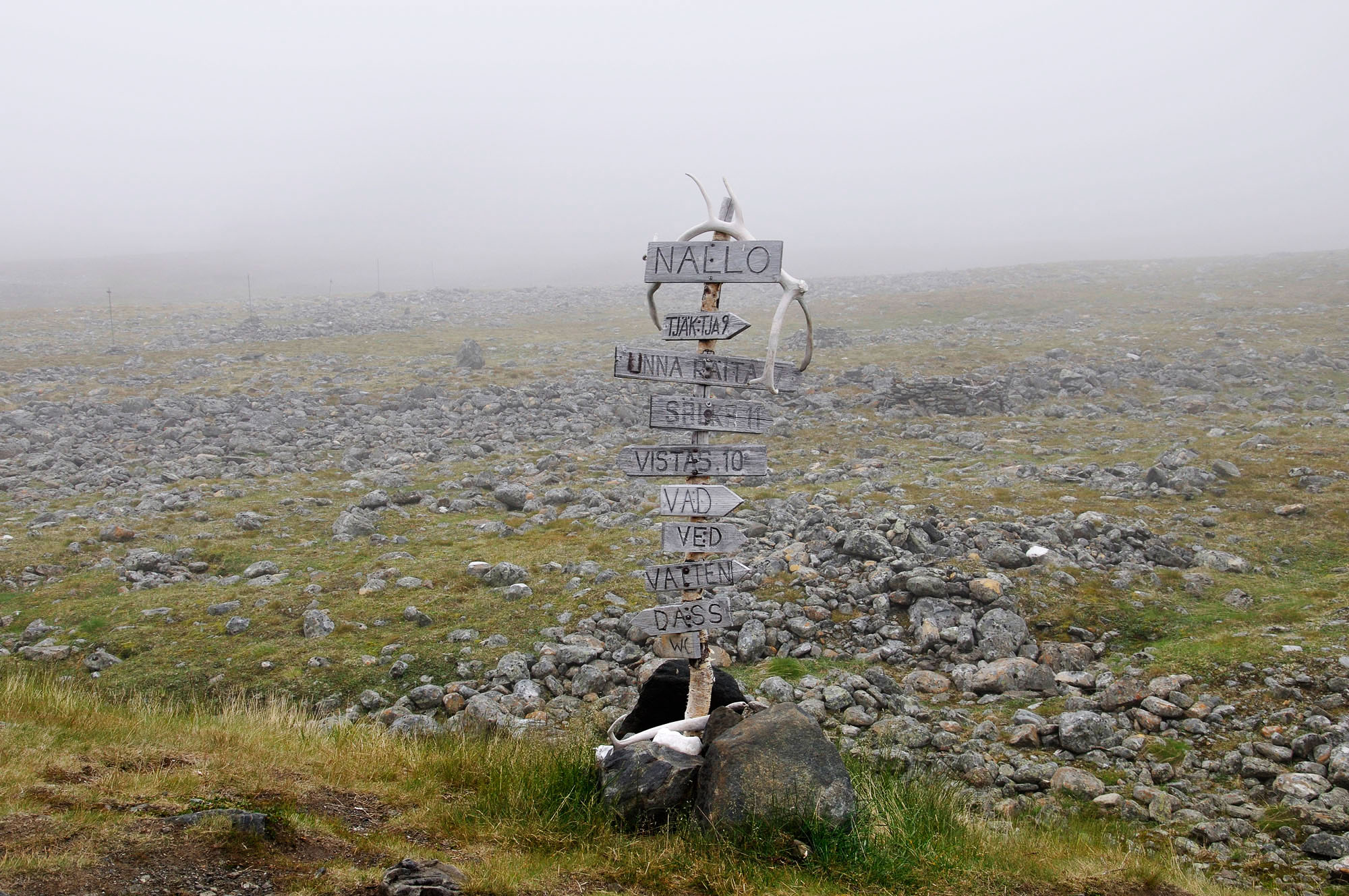 Abisko2010_w29.jpg