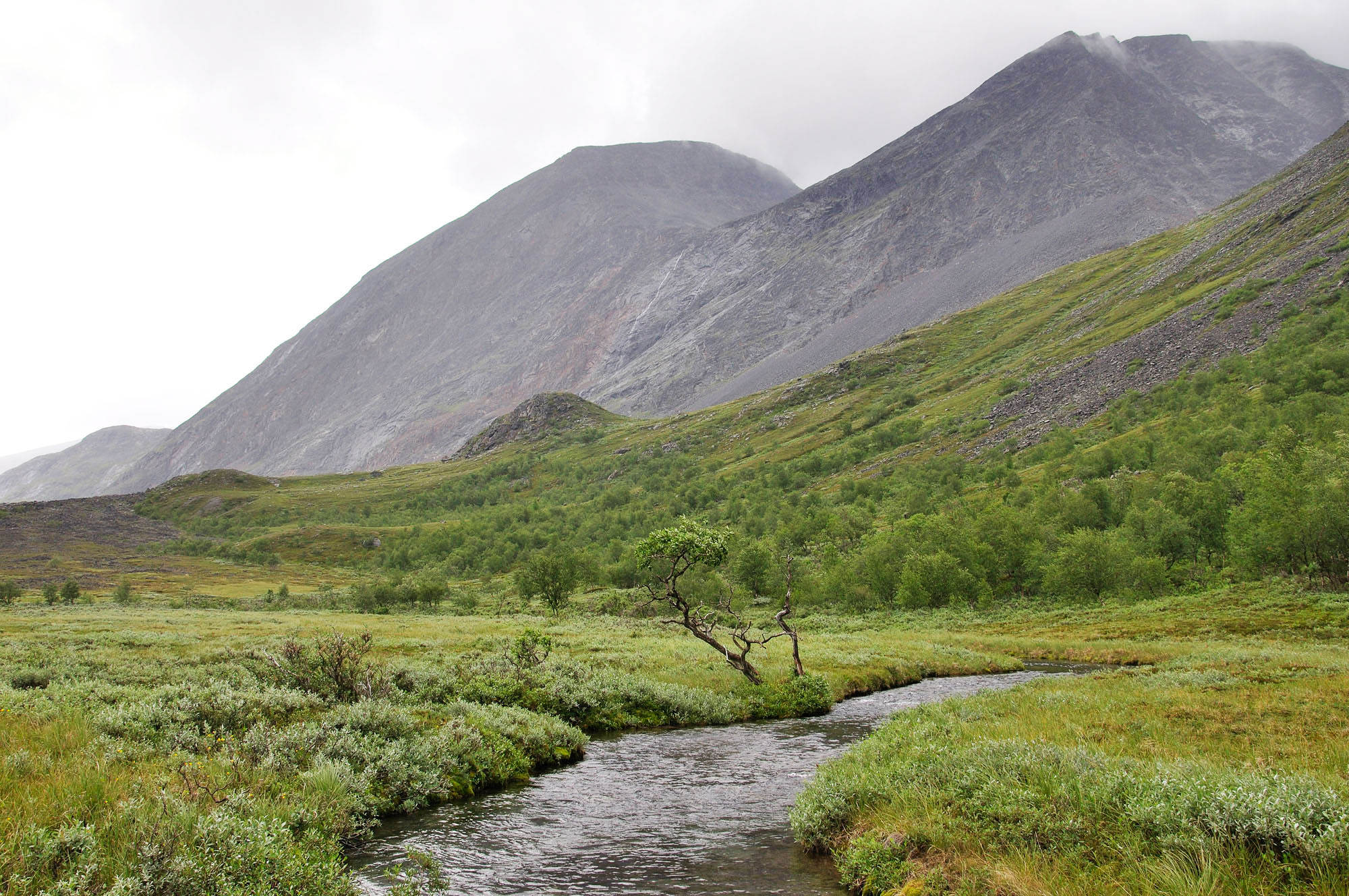 Abisko2010_w33.jpg