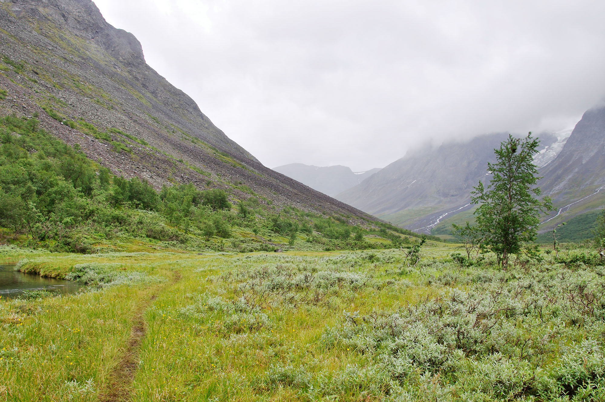 Abisko2010_w34.jpg