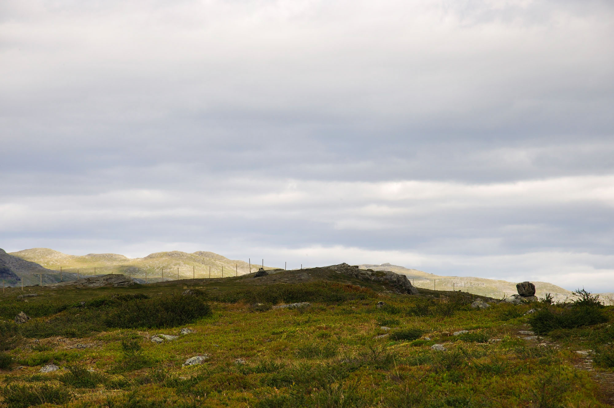 Abisko2010_w49.jpg